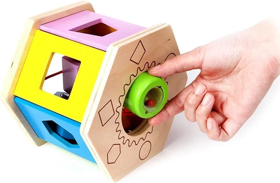 هاپ E0407 مرتب‌کننده اشکال لرزان و جورکردنی - چند رنگ