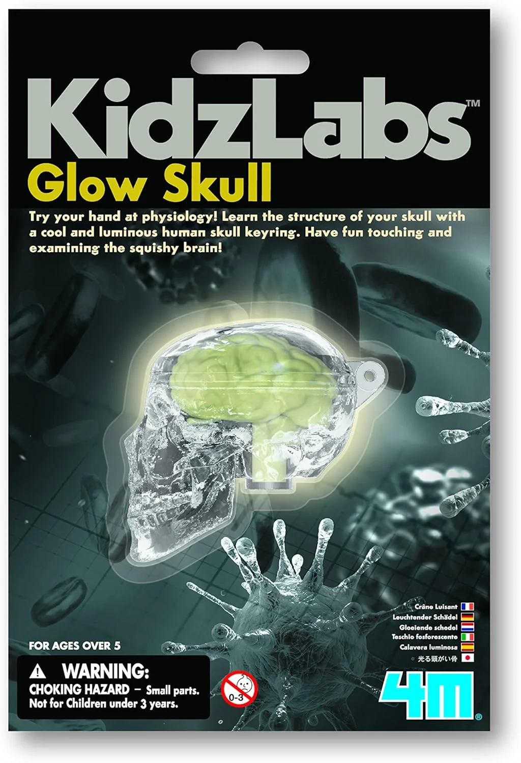 اسباب بازی آموزشی جمجمه شب تاب 4M