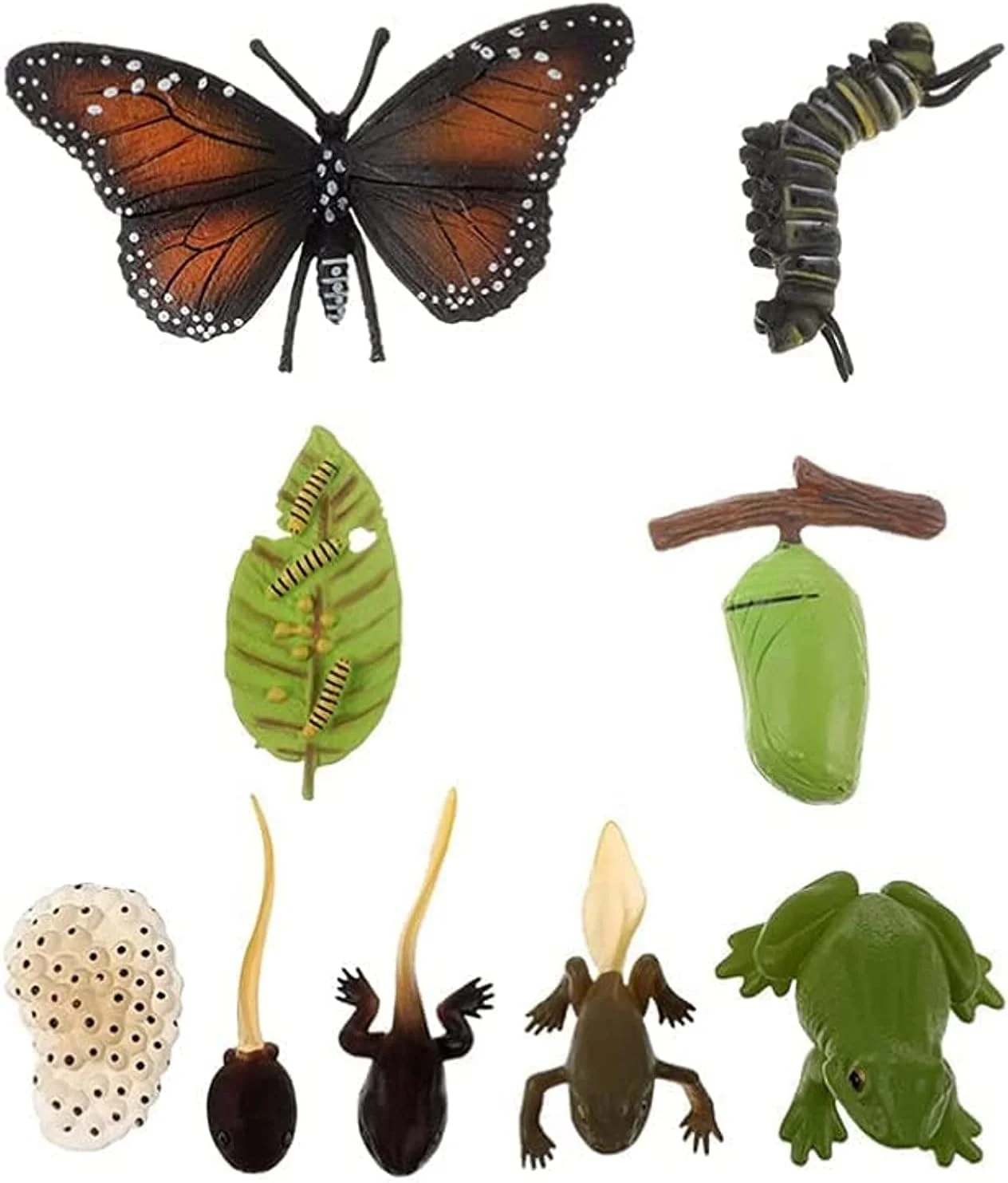 مجموعه مدل های چرخه زندگی حشرات ELECDON، مجسمه های واقعی پروانه مونارک و قورباغه، اسباب بازی آموزشی برای یادگیری پیش دبستانی، مجموعه بازی مراحل رشد حشرات، کاوش در علم و طبیعت