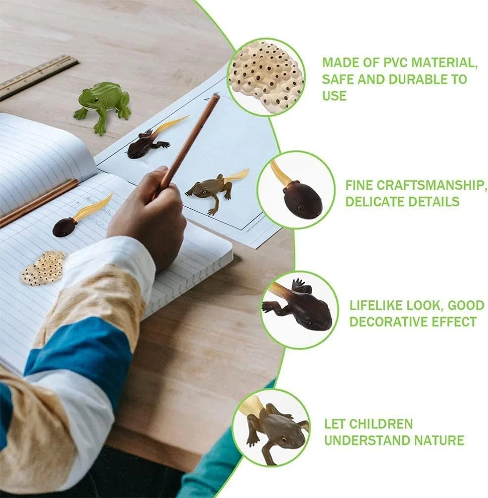 مجموعه مدل های چرخه زندگی حشرات ELECDON، مجسمه های واقعی پروانه مونارک و قورباغه، اسباب بازی آموزشی برای یادگیری پیش دبستانی، مجموعه بازی مراحل رشد حشرات، کاوش در علم و طبیعت مجموعه مدل های چرخه زندگی حشرات ELECDON، مجسمه های واقعی پروانه مونارک و قورباغه، اسباب بازی آموزشی برای یادگیری پیش دبستانی، مجموعه بازی مراحل رشد حشرات، کاوش در علم و طبیعت