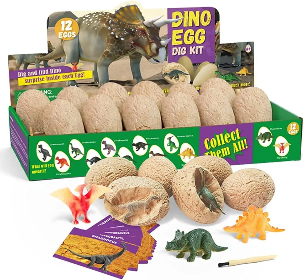اسباب بازی های حفاری باستان شناسی ELECDON، 12 فسیل/تخم مختلف با 12 کیت حفاری، هدایای علمی آموزشی حفاری برای مهمانی کودکان، اسباب بازی دیرینه شناسی باستان شناسی (تخم دایناسور)