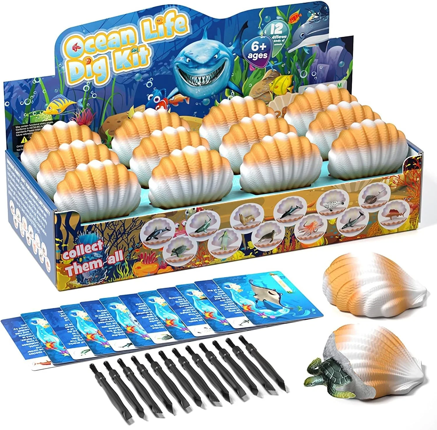 اسباب بازی های حفاری باستان شناسی ELECDON، 12 فسیل/تخم مختلف با 12 کیت حفاری، هدایای علمی آموزشی حفاری برای مهمانی کودکان، اسباب بازی دیرینه شناسی باستان شناسی (فسیل های اقیانوسی)