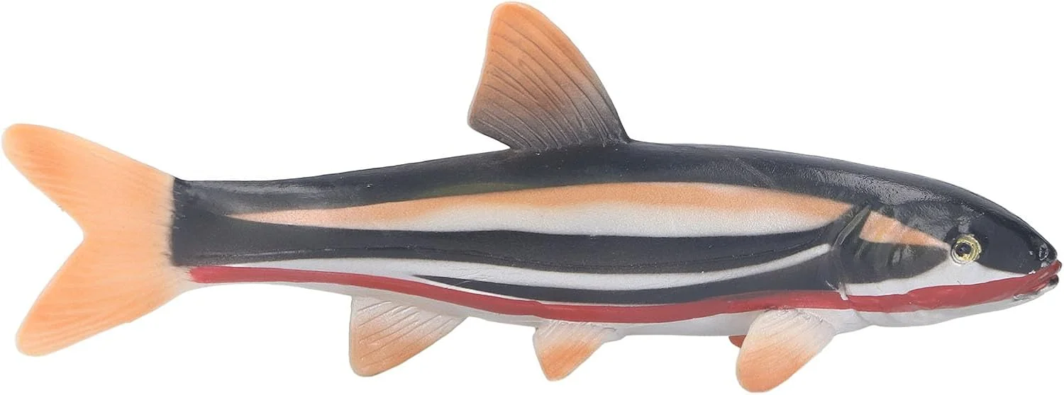 اسباب بازی حیوانات دریایی Cryfokt، بهبود توانایی شناختی، مجسمه حیوانات دریایی، آموزشی و جالب برای مهد کودک و مدرسه (PL127-1804)