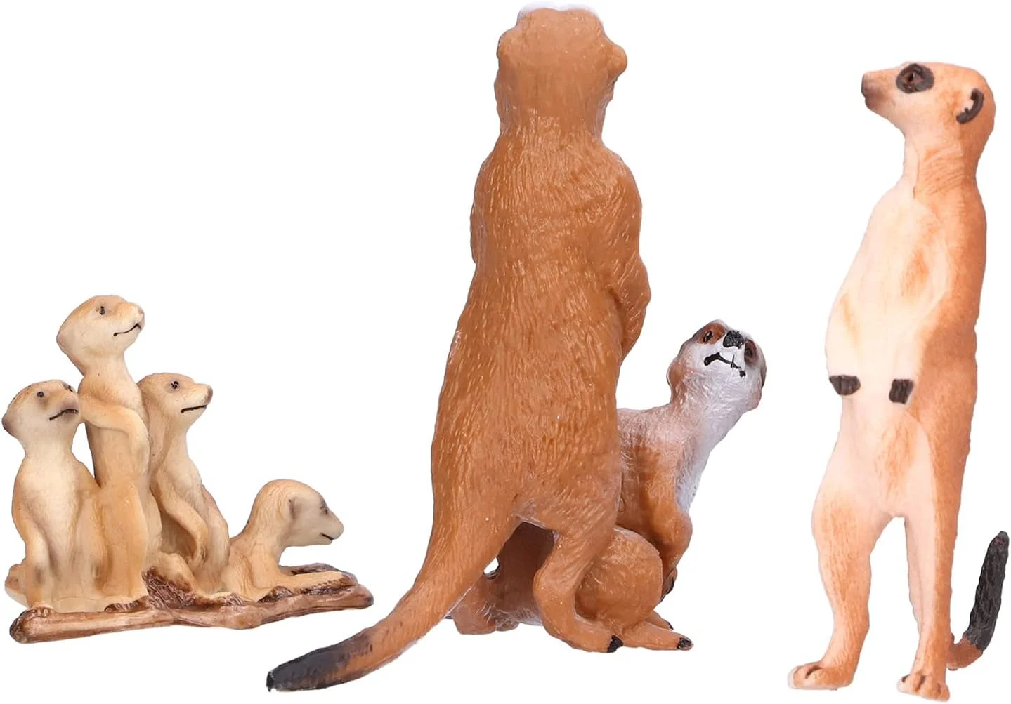 مجسمه میرکت Cryfokt، مدل اسباب بازی میرکت، مجموعه نفیس برای فعالیت های آموزشی کودکان و مهمانی های خانوادگی (شماره 1)