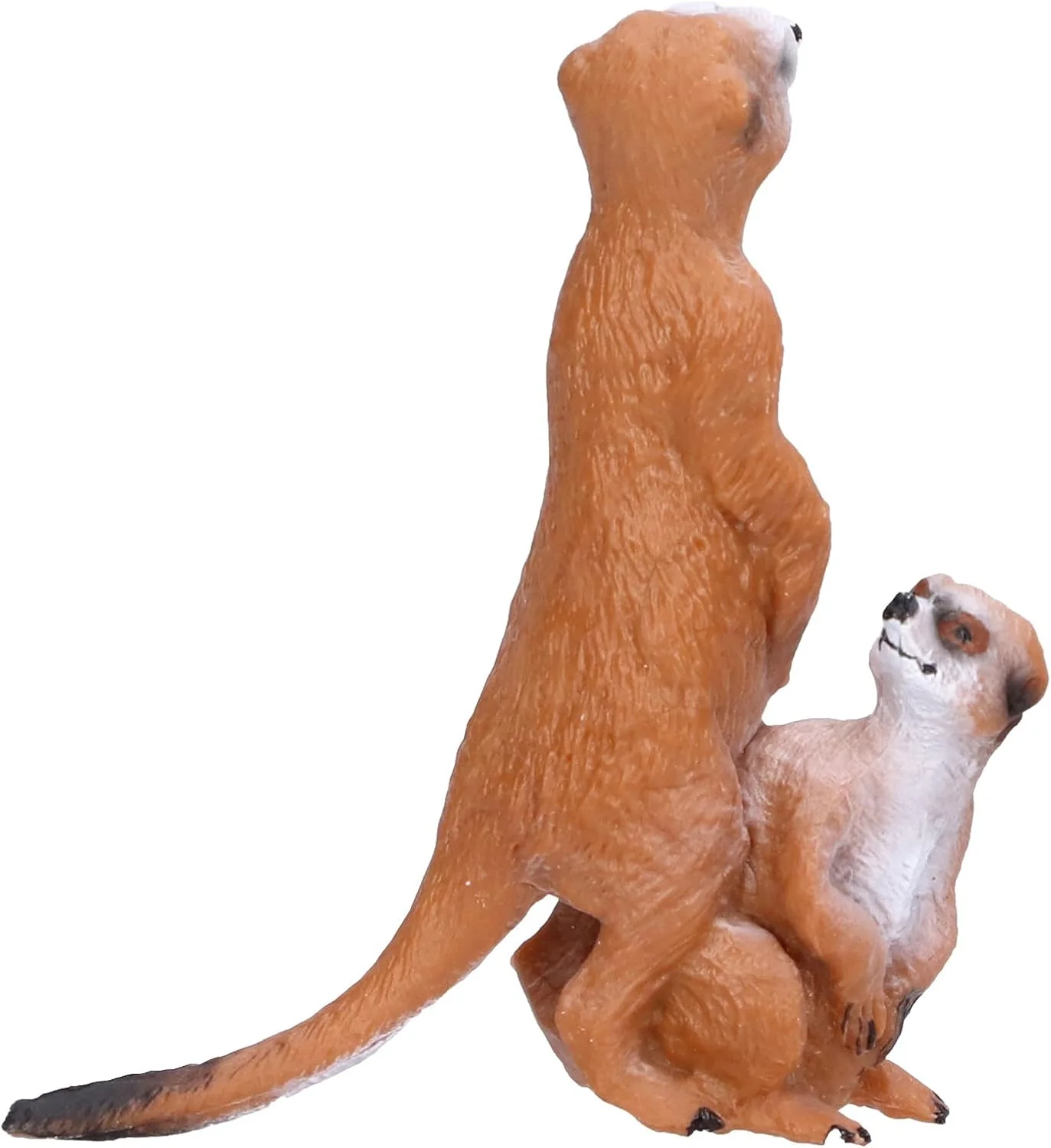 مجسمه میرکت Cryfokt، مدل اسباب بازی میرکت، مجموعه نفیس برای فعالیت های آموزشی کودکان و مهمانی های خانوادگی (شماره 1)