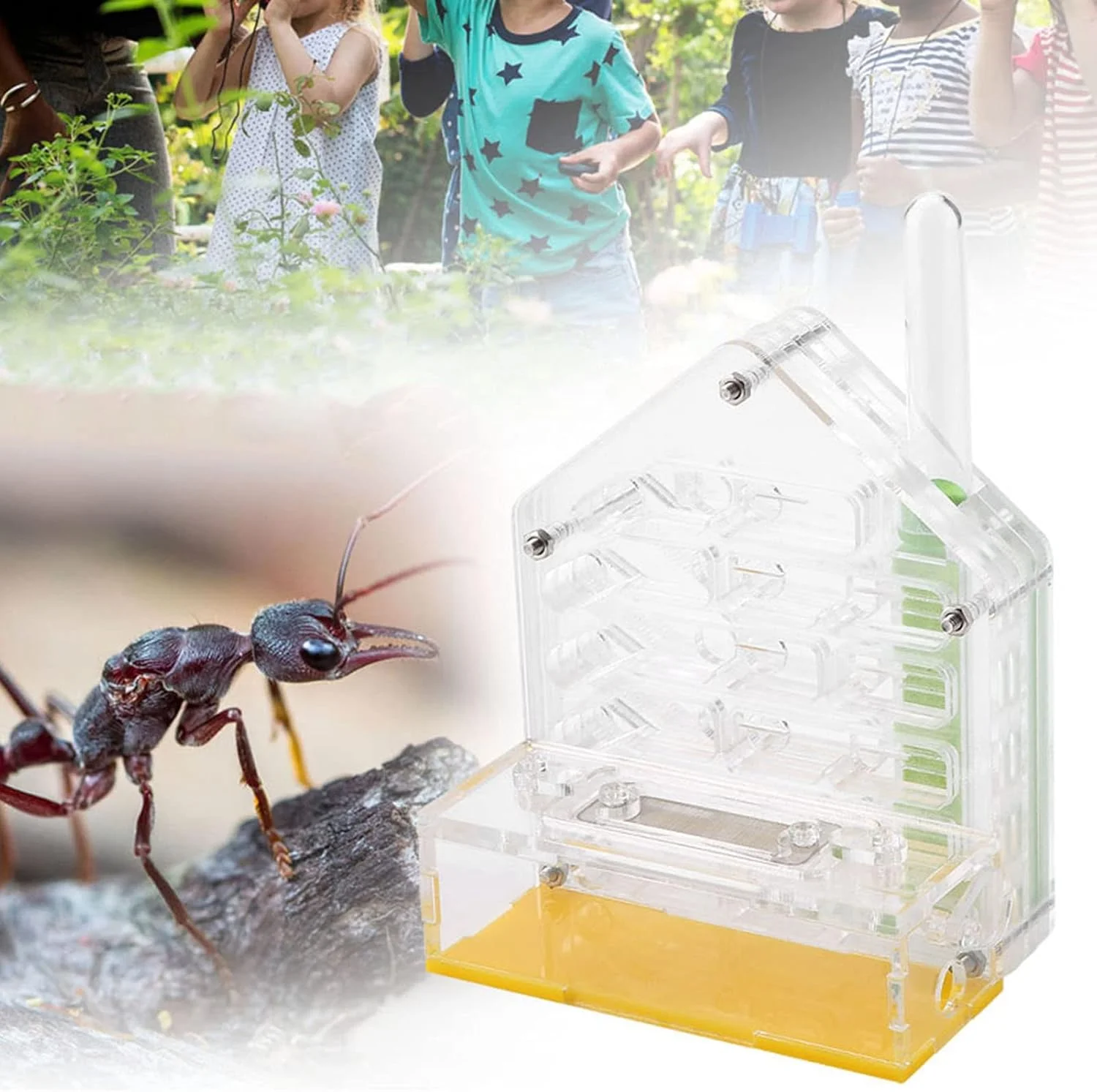 فرمیكاریوم خانه مزرعه ویلایی اکریلیک بادوام Cryfokt، اثر آب بندی پایدار، پرورش علاقه علمی، اسباب بازی آموزشی برای کودکان، لوله رنگ تصادفی فرمیكاریوم خانه مزرعه ویلایی اکریلیک بادوام Cryfokt، اثر آب بندی پایدار، پرورش علاقه علمی، اسباب بازی آموزشی برای کودکان، لوله رنگ تصادفی