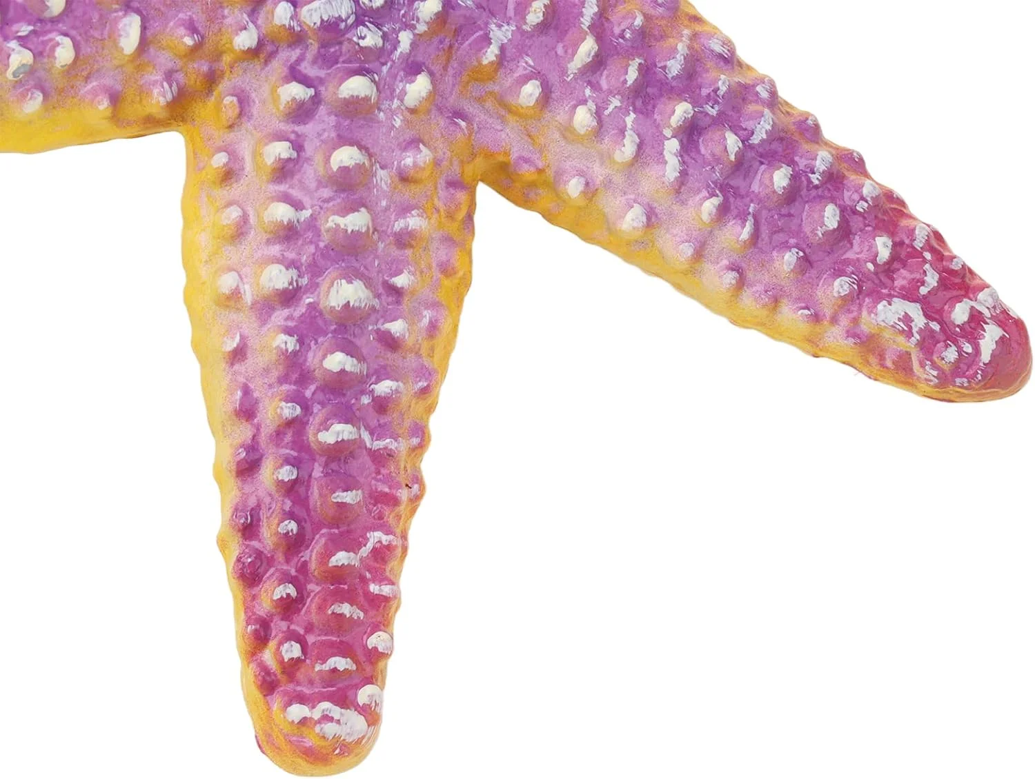 اسباب بازی ستاره دریایی Cryfokt، جزئیات شبیه سازی شده رنگ های روشن بافت منحصر به فرد رزین ستاره دریایی برای تزئین و هدیه