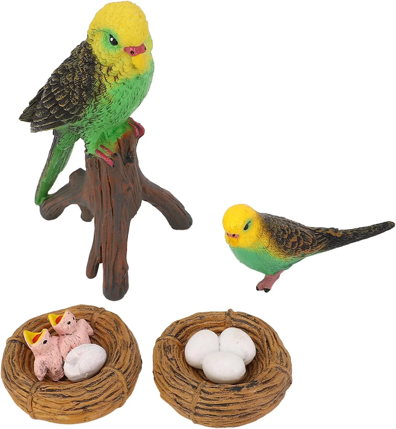 مجسمه چرخه رشد، مدل حیوانات پرنده شبیه سازی شده آموزشی برای کودکان