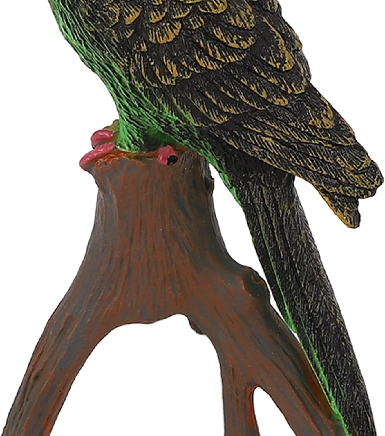 مجسمه چرخه رشد، مدل حیوانات پرنده شبیه سازی شده آموزشی برای کودکان