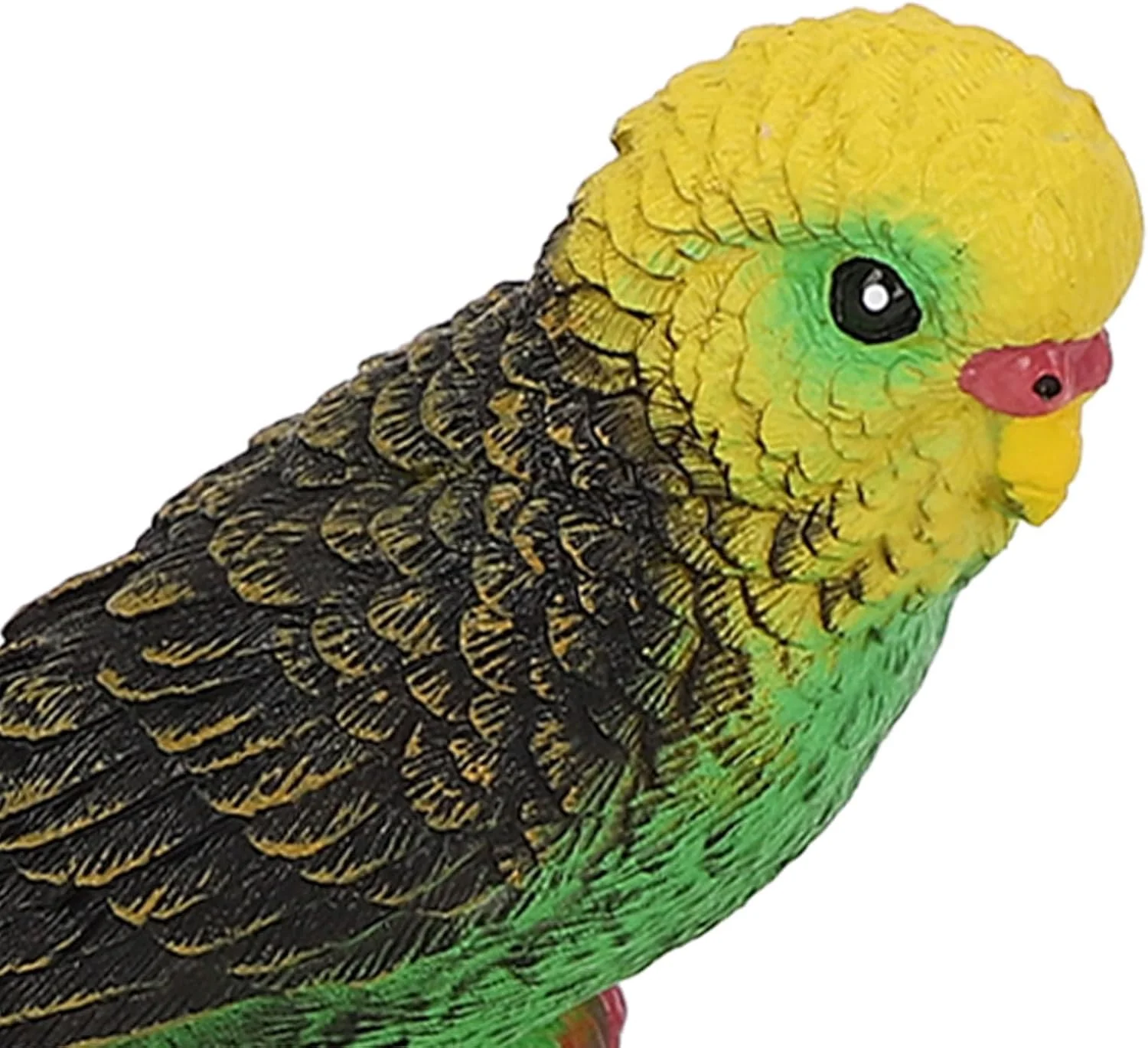 مجسمه چرخه رشد، مدل حیوانات پرنده شبیه سازی شده آموزشی برای کودکان