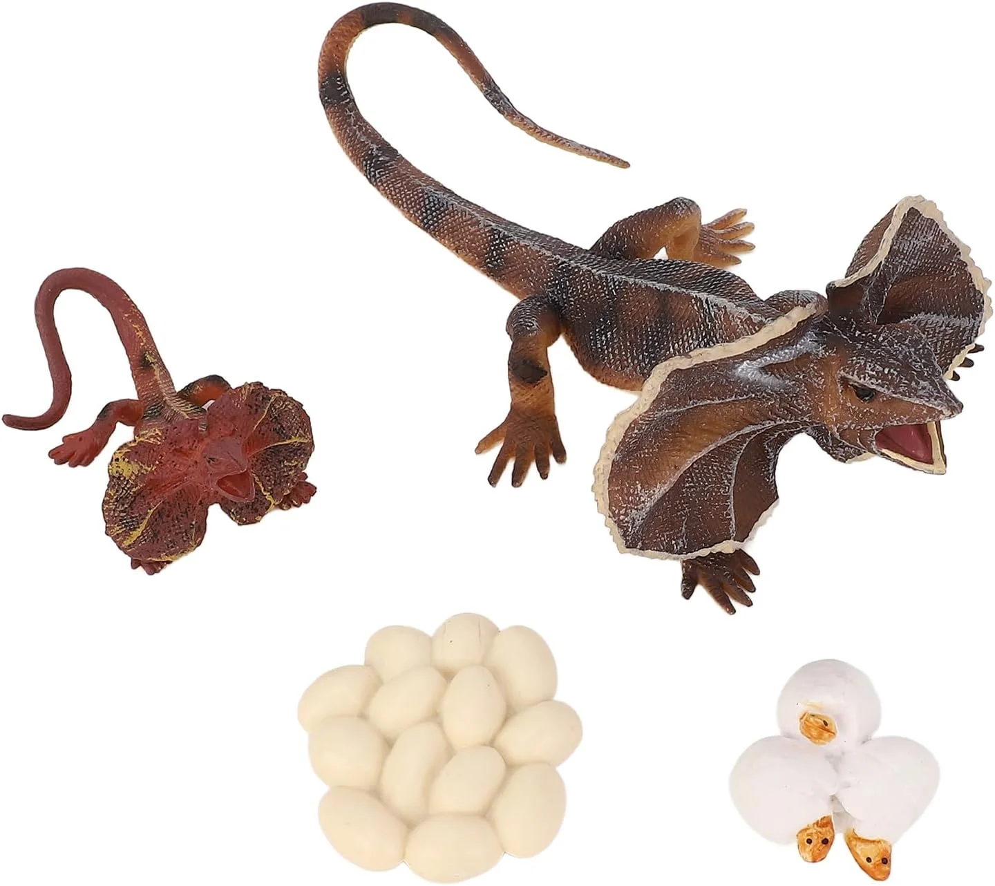 مدل رشد مارمولک یقه دار، مدل حیوانی شبیه سازی شده اسباب بازی های آموزشی برای کودکان