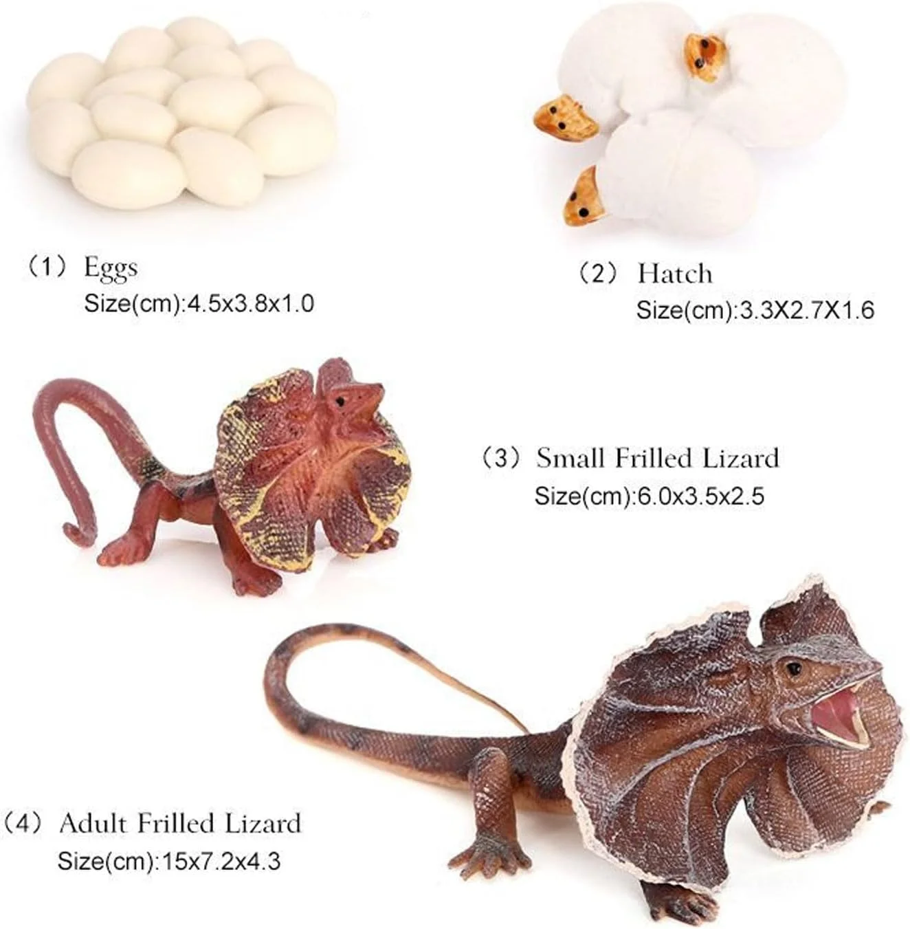 مدل رشد مارمولک یقه دار، مدل حیوانی شبیه سازی شده اسباب بازی های آموزشی برای کودکان مدل رشد مارمولک یقه دار، مدل حیوانی شبیه سازی شده اسباب بازی های آموزشی برای کودکان