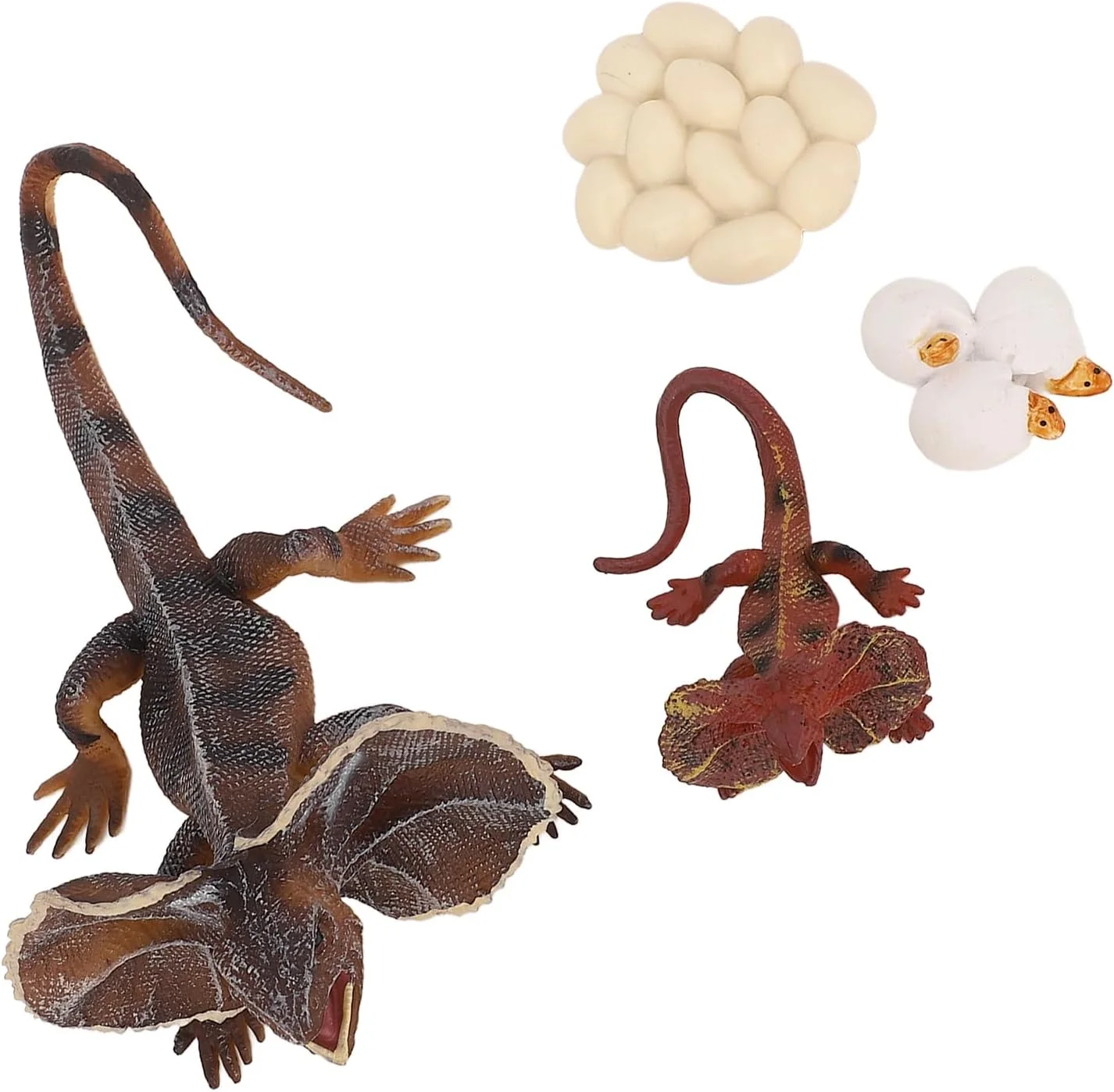 مدل رشد مارمولک یقه دار، مدل حیوانی شبیه سازی شده اسباب بازی های آموزشی برای کودکان مدل رشد مارمولک یقه دار، مدل حیوانی شبیه سازی شده اسباب بازی های آموزشی برای کودکان