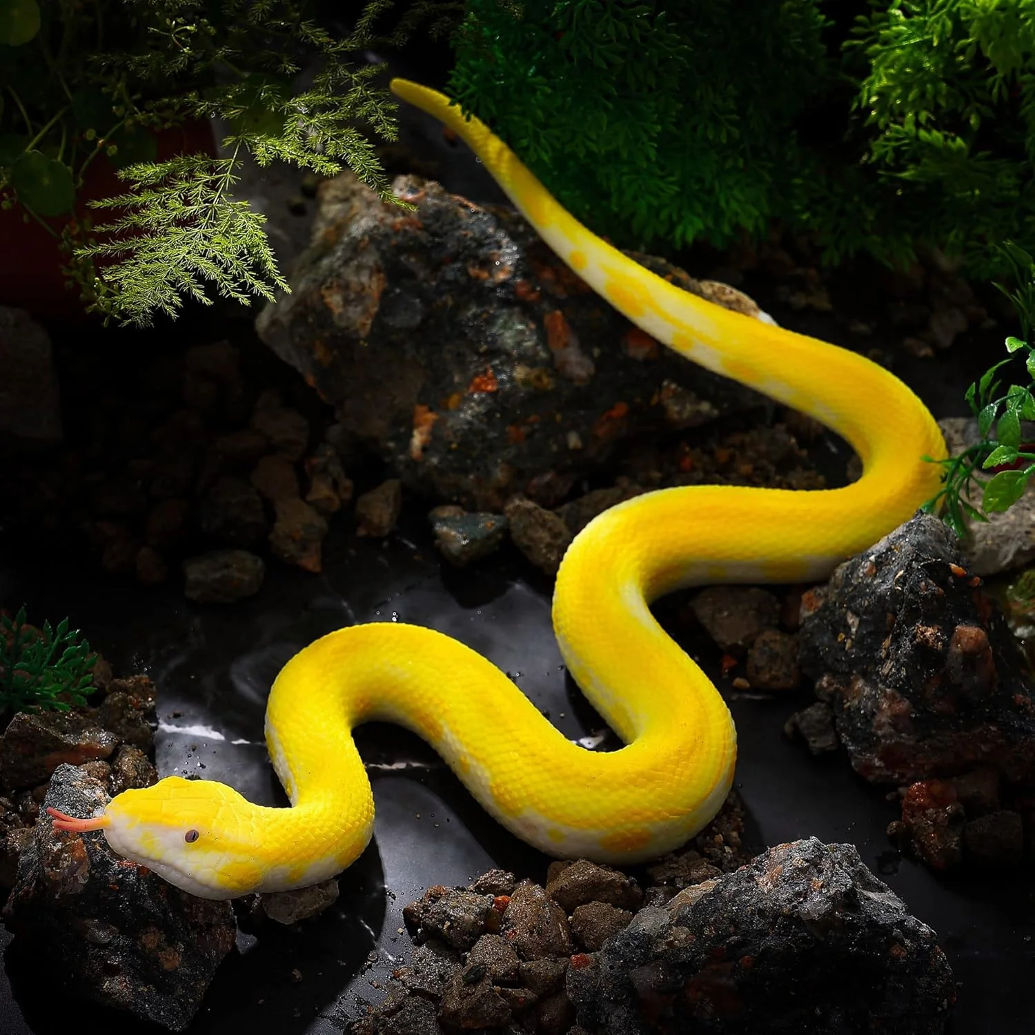 مدل اسباب بازی مار واقعی سیوسی، 2 عدد مدل اکشن پیتون الاستیک لاستیکی، فیگورهای اسباب بازی مار واقعی، وسایل شوخی، اسباب بازی های کاهش استرس، اسباب بازی های آموزشی، هدیه تولد برای کودکان