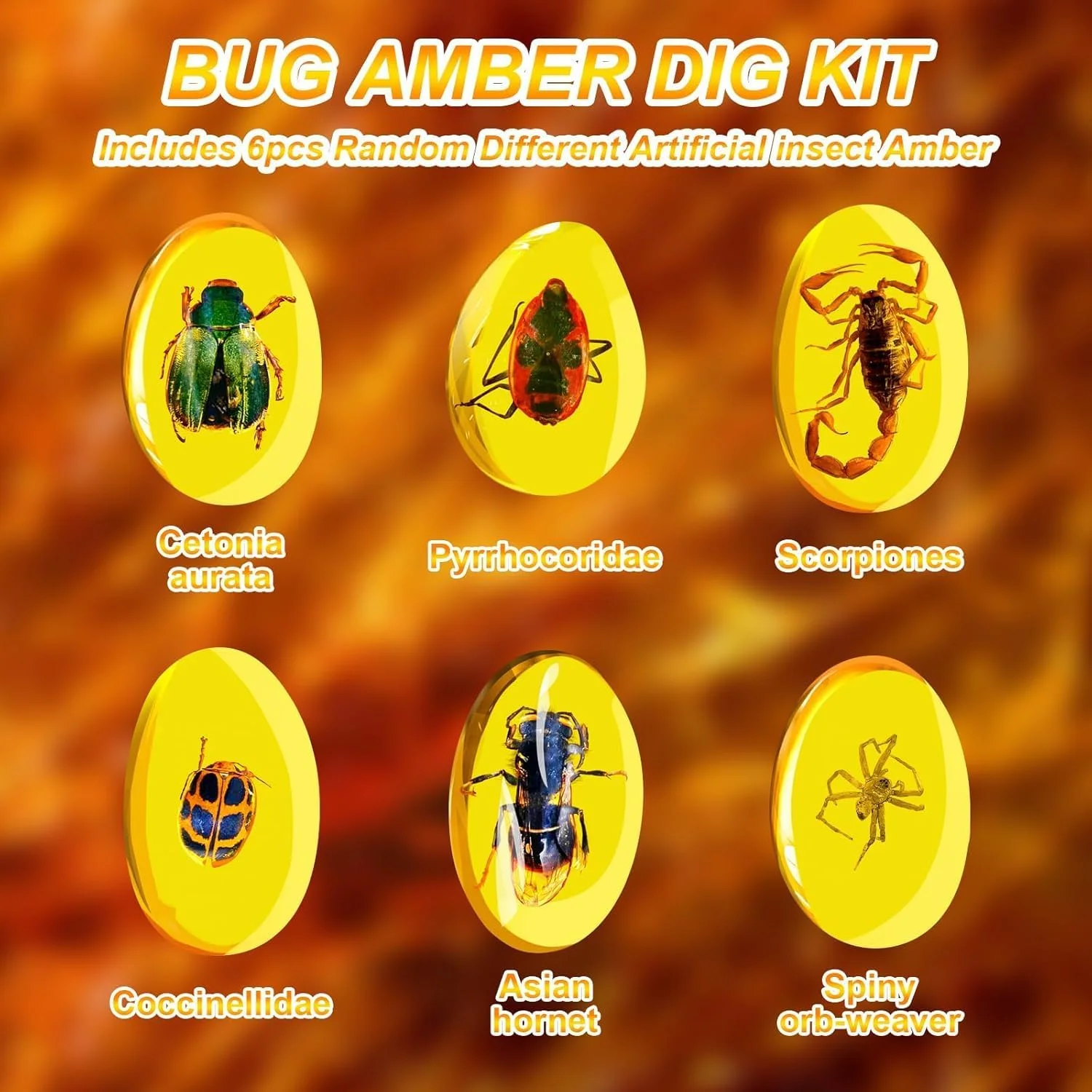 مجموعه کاوش سنگ کهربا NALACAL، مجموعه کاوش حشرات برای کودکان، مجموعه کاوش سنگ های قیمتی، 6 سنگ قیمتی و کهربای واقعی، اسباب بازی های آموزشی فسیل ها، کیت علمی با عینک و قاب نمایش هدیه