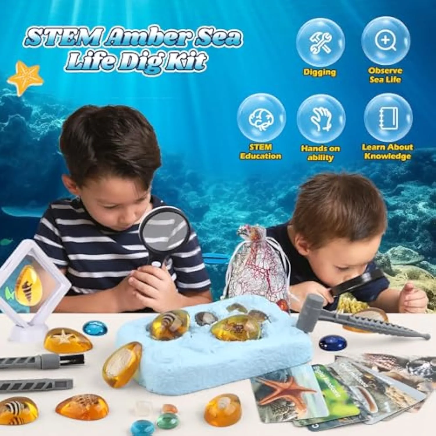 مجموعه کاوش اقیانوس NALACAL، مجموعه استخراج سنگ های قیمتی و فسیل، 8 نمونه، مجموعه علوم باستان شناسی برای کودکان 5 تا 8 سال
