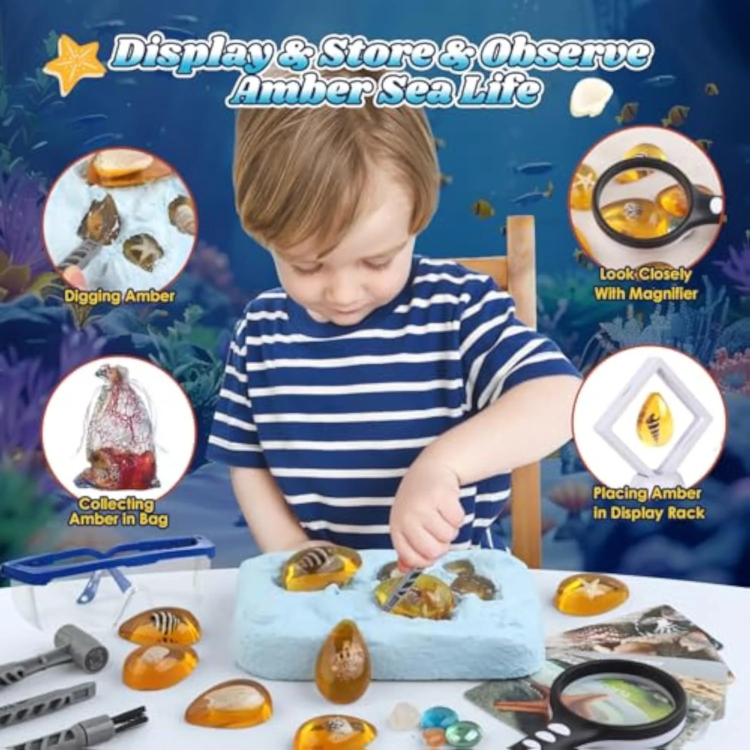 مجموعه کاوش اقیانوس NALACAL، مجموعه استخراج سنگ های قیمتی و فسیل، 8 نمونه، مجموعه علوم باستان شناسی برای کودکان 5 تا 8 سال