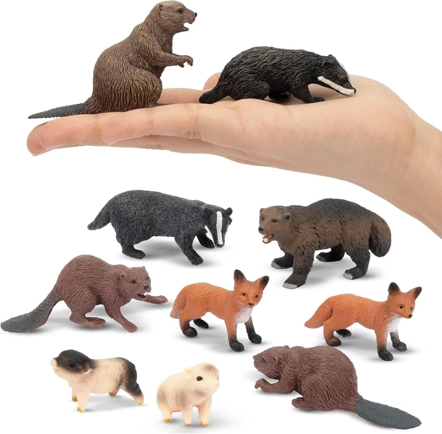 ست 10 عددی فیگورهای حیوانات جنگلی کوچک نالاکال، مجموعه اسباب بازی های مینیاتوری حیوانات جنگلی شامل سگ آبی، روباه، گورکن، هدیه آموزشی تولد عید پاک، اسباب بازی کریسمس برای کودکان و نوپاها