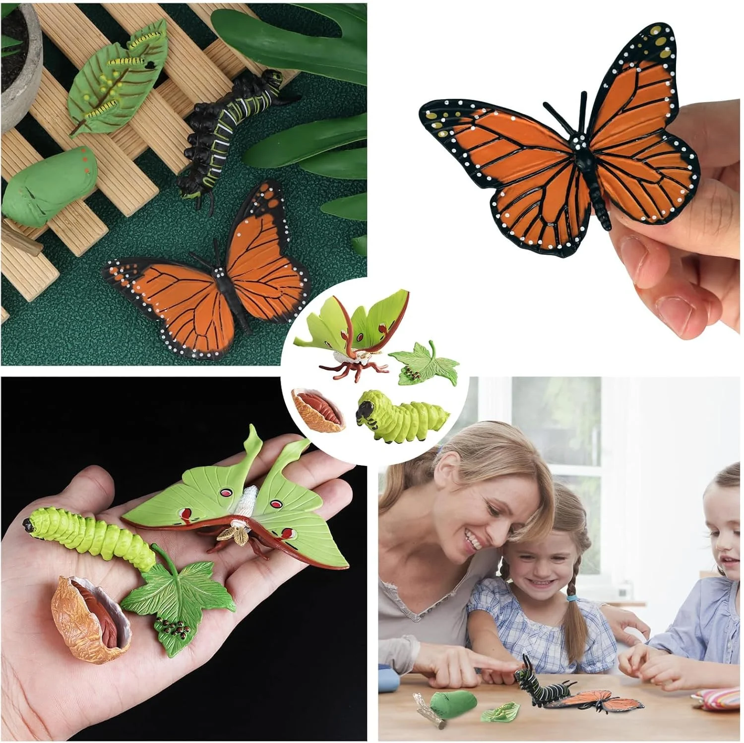 مجموعه 8 عددی چرخه زندگی پروانه برای کودکان - اسباب بازی آموزشی رشد از کرم ابریشم تا پروانه، مدل دگردیسی حشرات برای یادگیری علوم، ابزار آموزش عملی طبیعت و علوم مجموعه 8 عددی چرخه زندگی پروانه برای کودکان - اسباب بازی آموزشی رشد از کرم ابریشم تا پروانه، مدل دگردیسی حشرات برای یادگیری علوم، ابزار آموزش عملی طبیعت و علوم