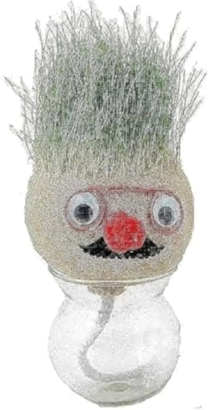 گلدان مو چمنی آموزشی