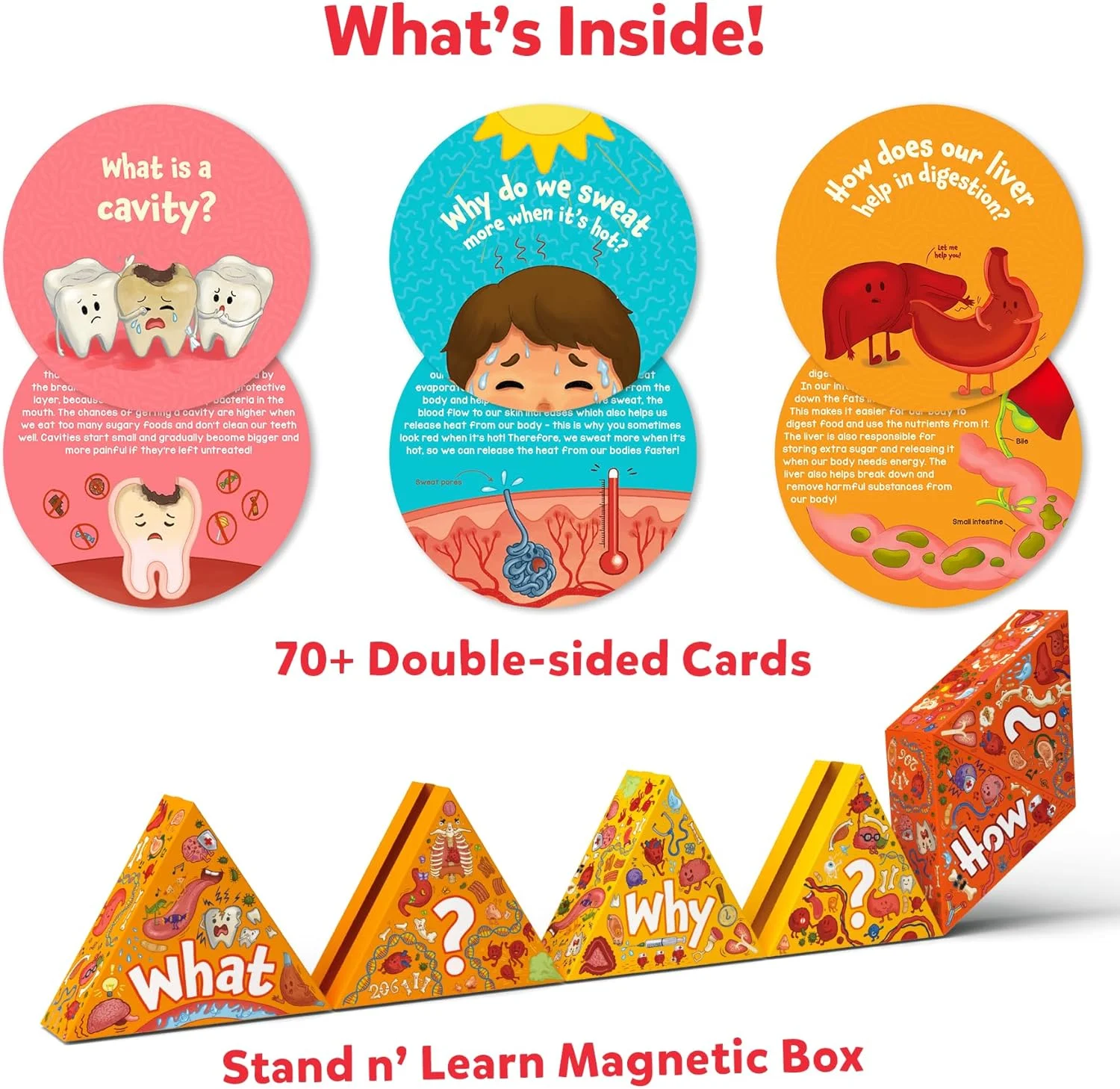 کیت علوم Skillmatics بدن انسان - اسباب بازی STEM، منبع یادگیری و اسباب بازی های آموزشی برای پسران و دختران، هدیه برای سنین 7، 8، 9 سال به بالا، بیش از 70 کارت کیت علوم Skillmatics بدن انسان - اسباب بازی STEM، منبع یادگیری و اسباب بازی های آموزشی برای پسران و دختران، هدیه برای سنین 7، 8، 9 سال به بالا، بیش از 70 کارت