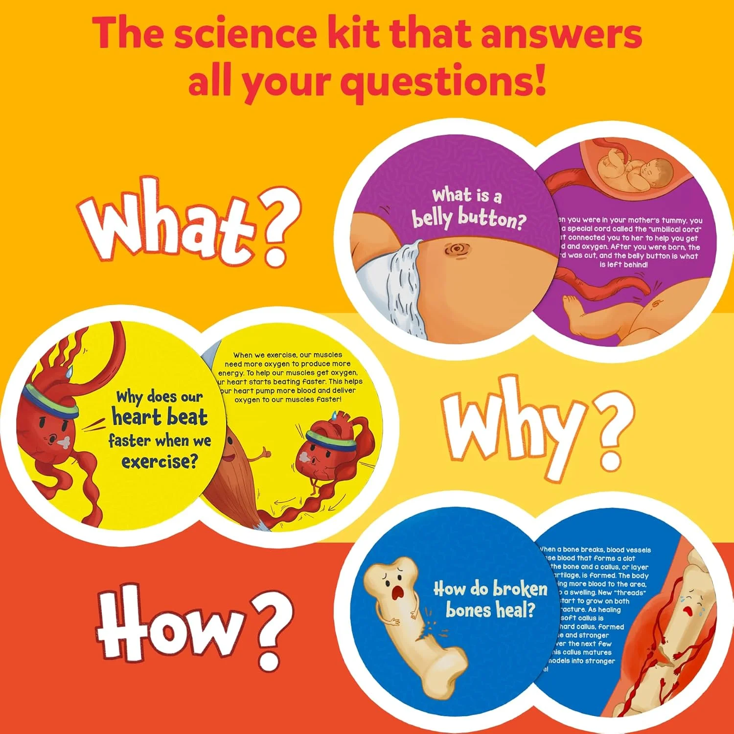 کیت علوم Skillmatics بدن انسان - اسباب بازی STEM، منبع یادگیری و اسباب بازی های آموزشی برای پسران و دختران، هدیه برای سنین 7، 8، 9 سال به بالا، بیش از 70 کارت کیت علوم Skillmatics بدن انسان - اسباب بازی STEM، منبع یادگیری و اسباب بازی های آموزشی برای پسران و دختران، هدیه برای سنین 7، 8، 9 سال به بالا، بیش از 70 کارت