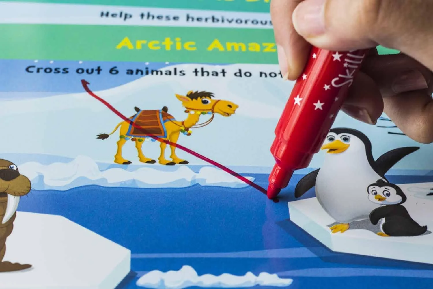 بازی آموزشی اسکیلماتیکس: دنیای حیوانات، 3 - 6 سال، چند رنگ، Skill09Akb، آبی، 29.6 X 41 X 3 سانتی متر