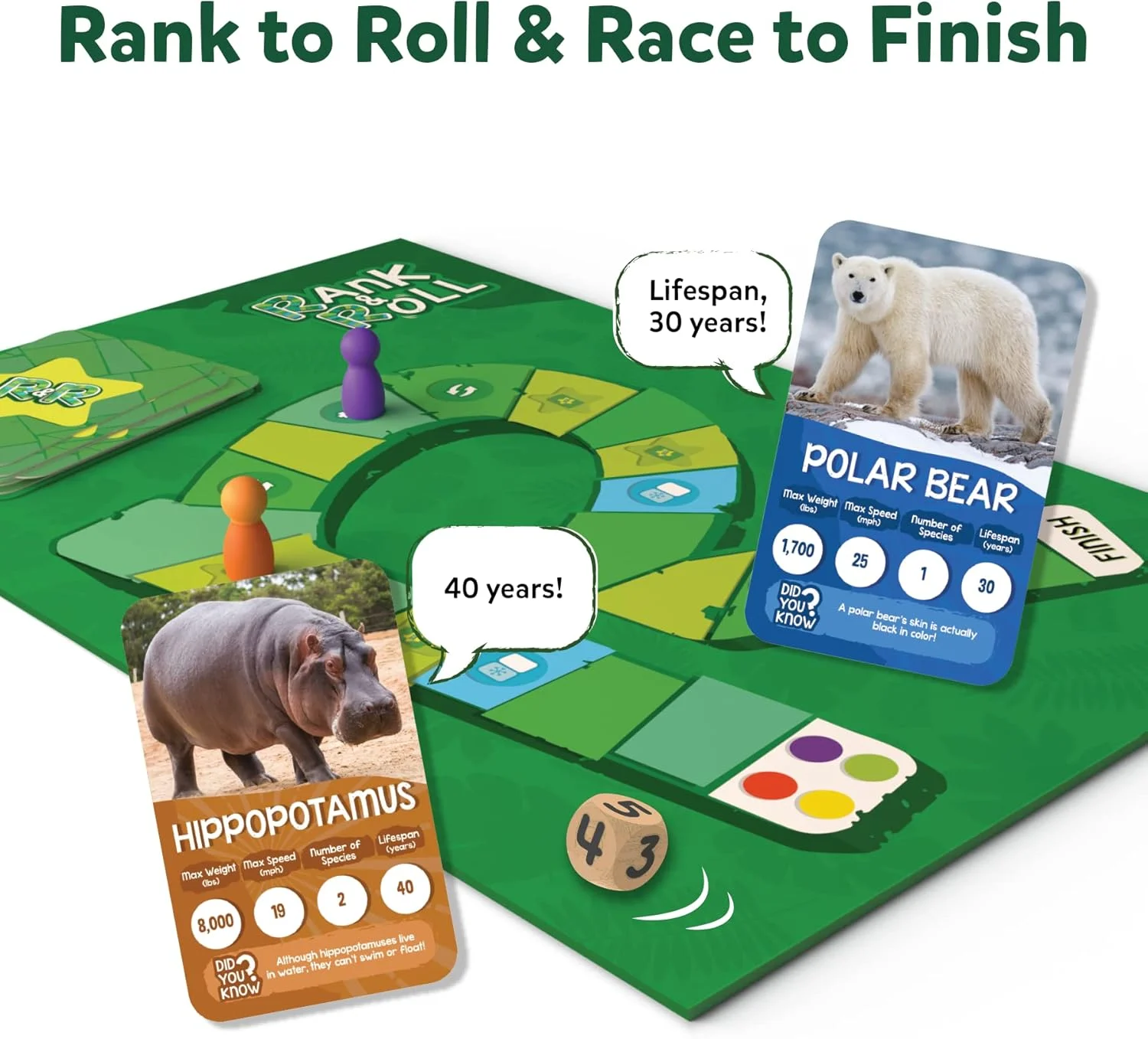 بازی کارتی و رومیزی Skillmatics - رتبه بندی و مسابقه حیوانات، بازی استراتژی حافظه، بازی برای کودکان، نوجوانان و بزرگسالان بازی کارتی و رومیزی Skillmatics - رتبه بندی و مسابقه حیوانات، بازی استراتژی حافظه، بازی برای کودکان، نوجوانان و بزرگسالان