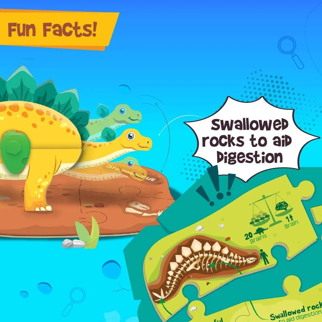 ایماجیمیک مپولوژی دایناسورهای شبتاب و تخم | پازل سه بعدی دایناسور برای کودکان | ساخت و بازی با اسباببازیهای دایناسور شبتاب | هدیه تولد و یادگاری برای کودکان 5، 6، 7، 8، 9 ساله ایماجیمیک مپولوژی دایناسورهای شبتاب و تخم | پازل سه بعدی دایناسور برای کودکان | ساخت و بازی با اسباببازیهای دایناسور شبتاب | هدیه تولد و یادگاری برای کودکان 5، 6، 7، 8، 9 ساله