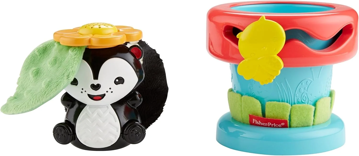 اسباب بازی گلدان گل دالی موشه Fisher Price DFP91