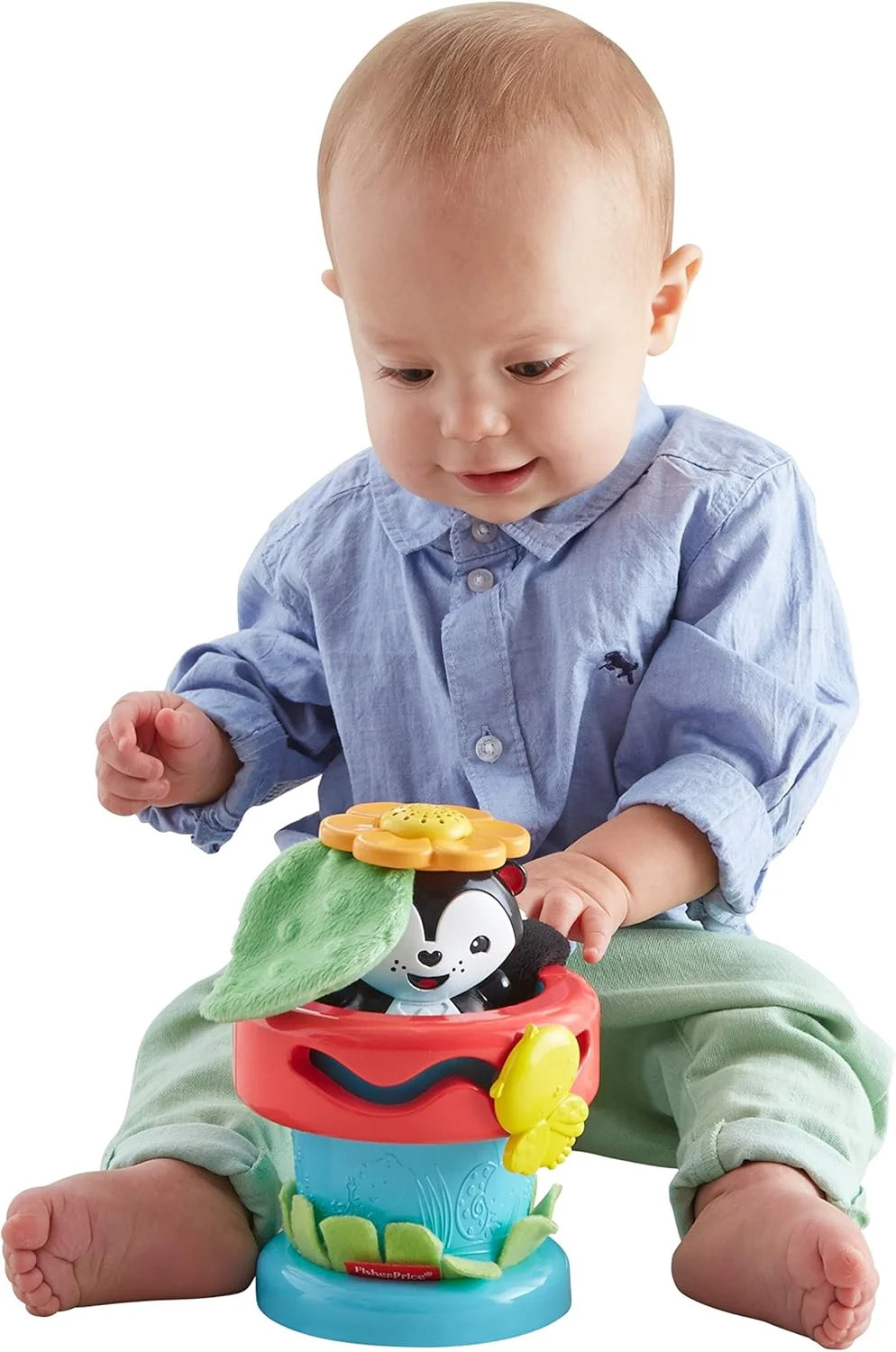 اسباب بازی گلدان گل دالی موشه Fisher Price DFP91