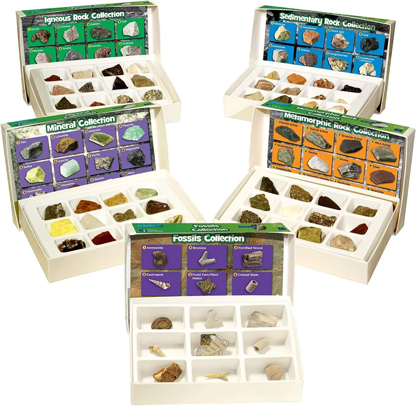 مجموعه کامل سنگ، مواد معدنی و فسیل Educational Insights، مناسب برای 8 سال به بالا، (57 قطعه با سینی نگهداری)