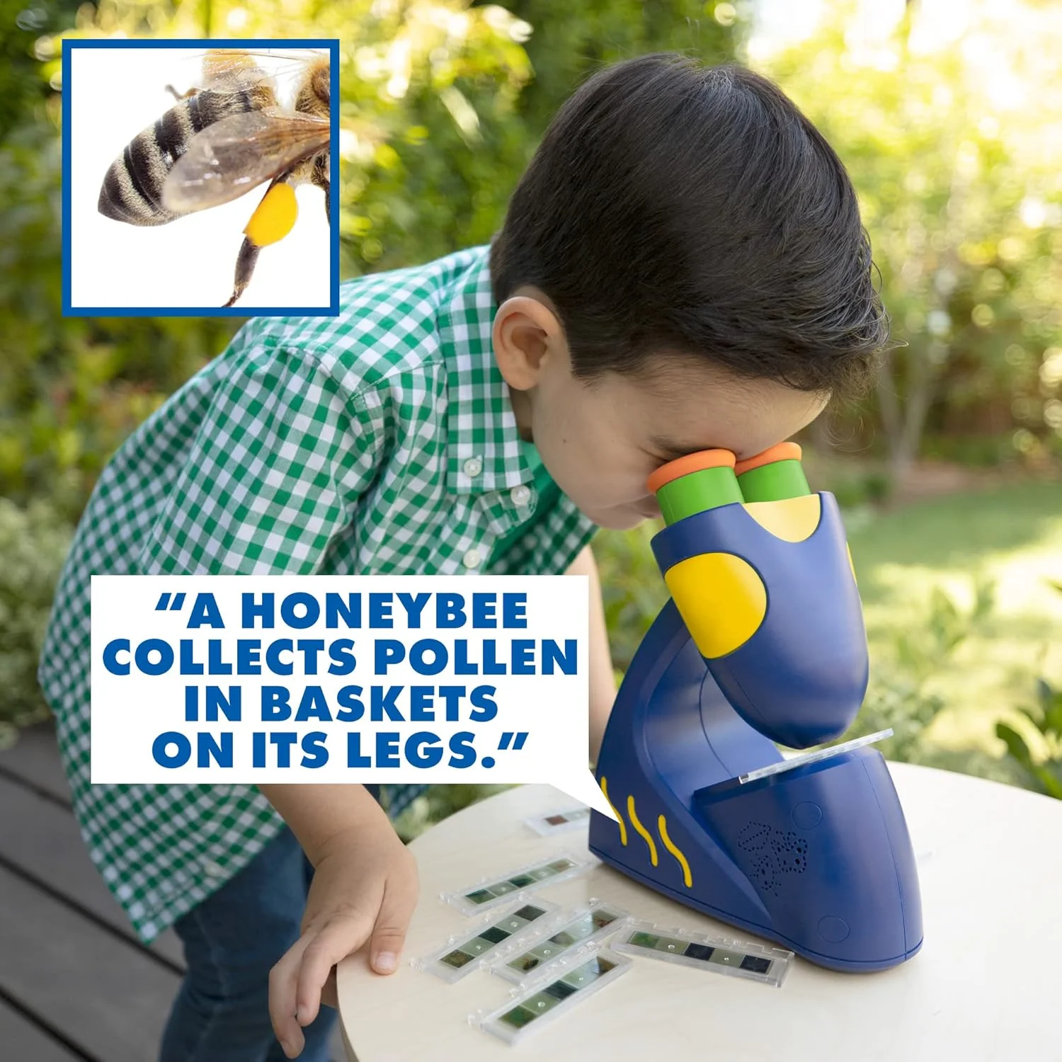 میکروسکوپ سخنگوی GeoSafari Jr. Educational Insights (نسخه صوتی انگلیسی و آسیایی)، میکروسکوپ برای کودکان، اسباب بازی STEM و علوم، یادگیری تعاملی، 4 سال به بالا میکروسکوپ سخنگوی GeoSafari Jr. Educational Insights (نسخه صوتی انگلیسی و آسیایی)، میکروسکوپ برای کودکان، اسباب بازی STEM و علوم، یادگیری تعاملی، 4 سال به بالا