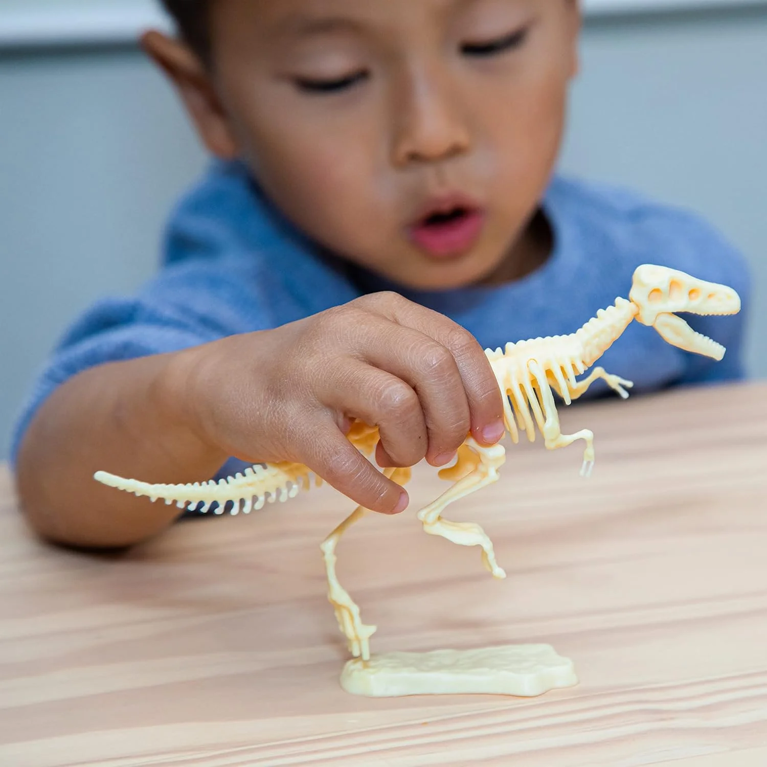 مجموعه فسیل تیرکس GeoSafari Jr. Dinosaur Discovery Dig از Educational Insights، اسباببازی علمی، بازی برای دختران و پسران، 4 سال به بالا مجموعه فسیل تیرکس GeoSafari Jr. Dinosaur Discovery Dig از Educational Insights، اسباببازی علمی، بازی برای دختران و پسران، 4 سال به بالا