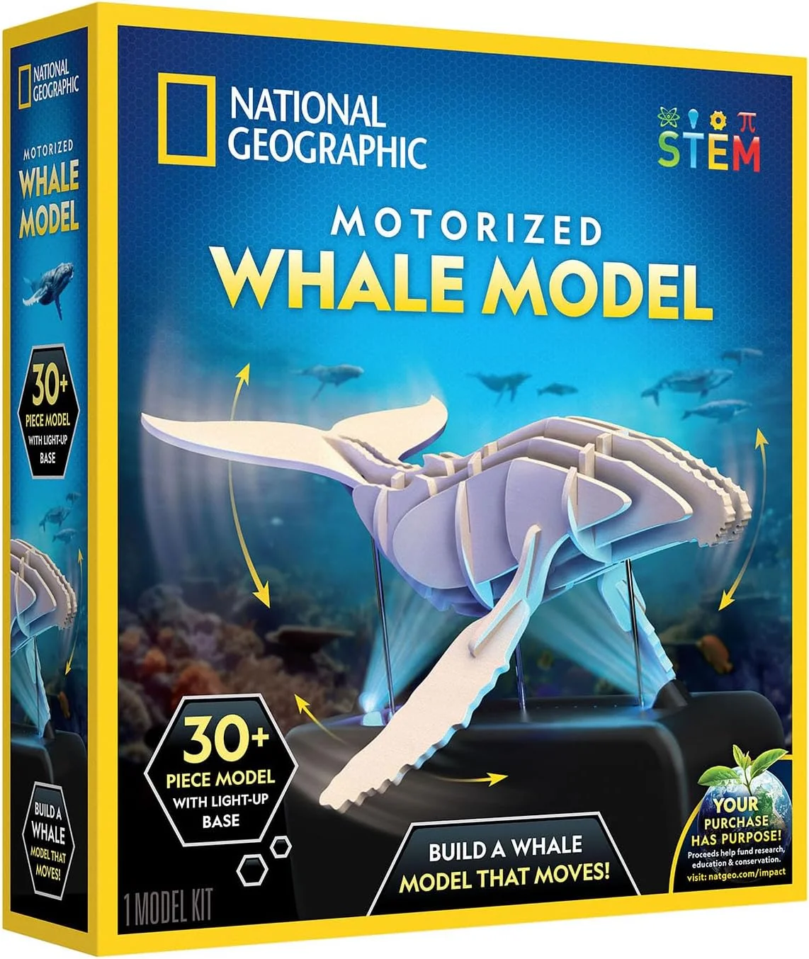 پازل سه بعدی نهنگ متحرک نشنال جئوگرافیک - کیت مدل چوبی سه بعدی 45 تکه با پایه نمایشگر متحرک نورانی با 8 تنظیمات نور، پازل های سه بعدی برای کودکان، پازل حیوانات چوبی، اسباب بازی نهنگ