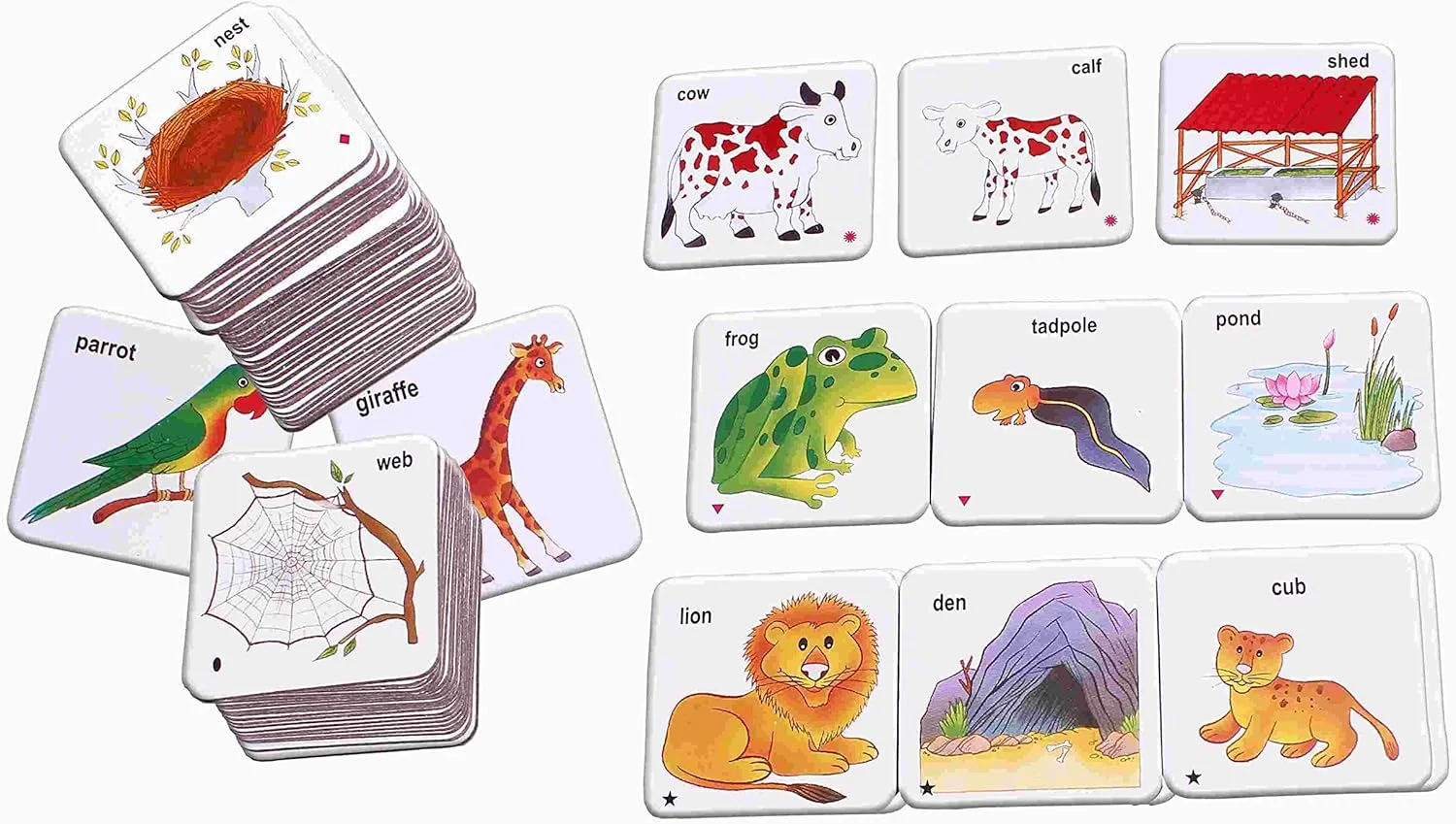 خانواده های حیوانات و خانه هایشان - 4 سال به بالا