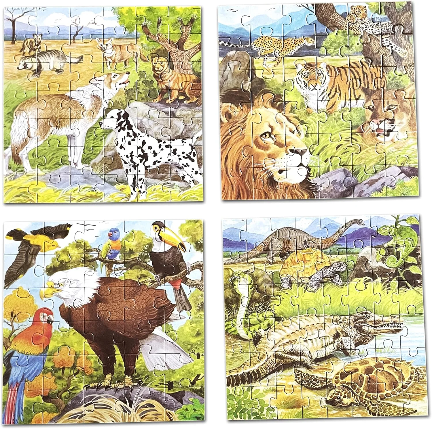 پازل های حیوانات خلاقانه قسمت 6 | پازل های اره منبت کاری اره مویی برای توسعه مهارت | پازل های پرندگان برای کودکان | پازل های آموزشی برای کودکان | مناسب برای سنین 5 سال به بالا، 30 تا 48 قطعه