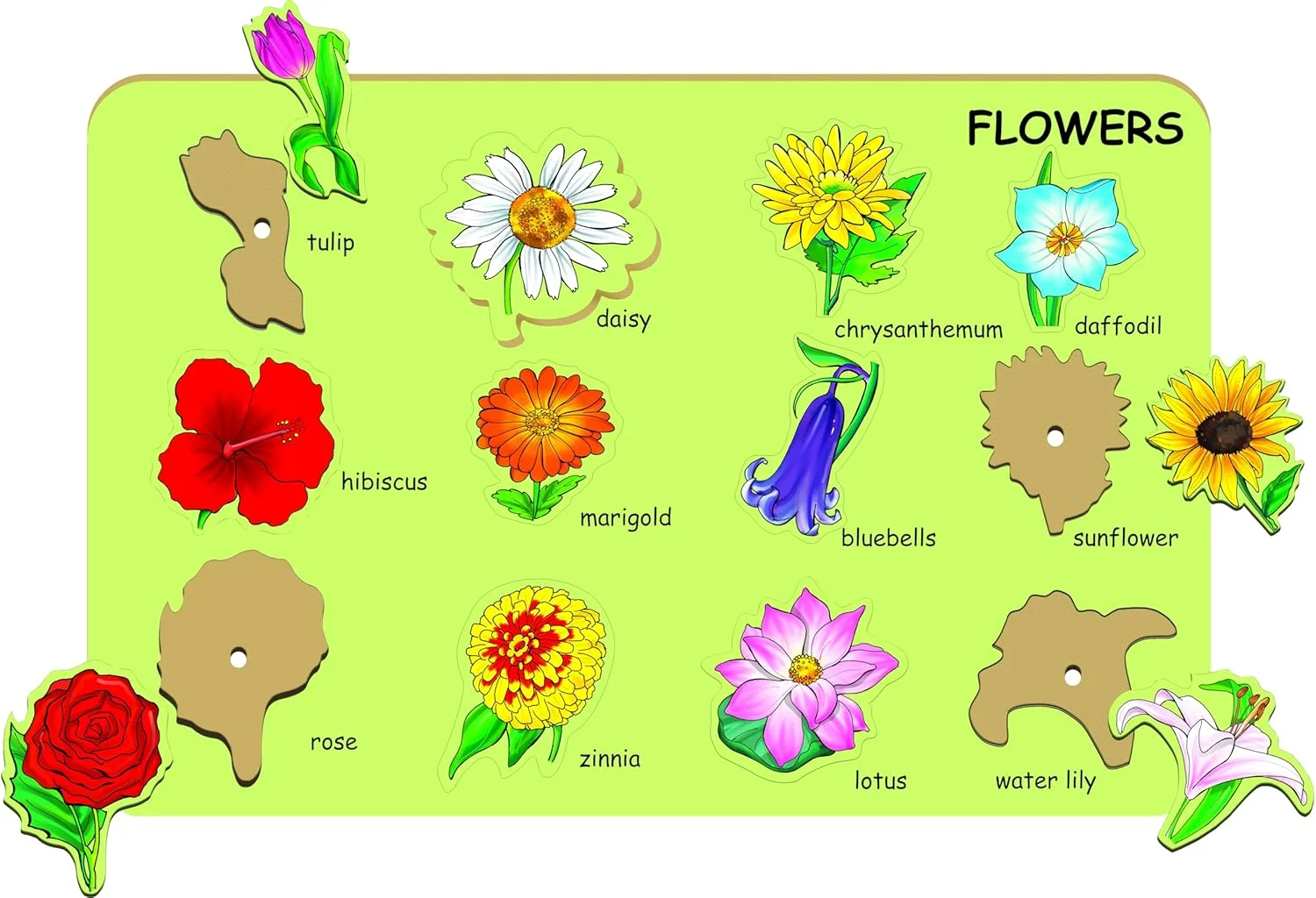 پازل چوبی آموزشی گل ها برای کودکان | پازل تصویری گل | بازی پازل تطبیق شکل گل ها | اسباب بازی آموزشی پازل برای کودکان بالای 2 سال
