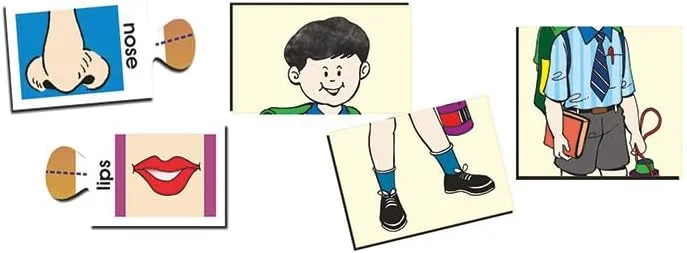 قطعات بدن خلاقانه | پازل های آموزشی و یادگیری پیش دبستانی | کودکان قطعات بدن را شناسایی می کنند | پازل های یادگیری برای کودکان | 4 سال به بالا