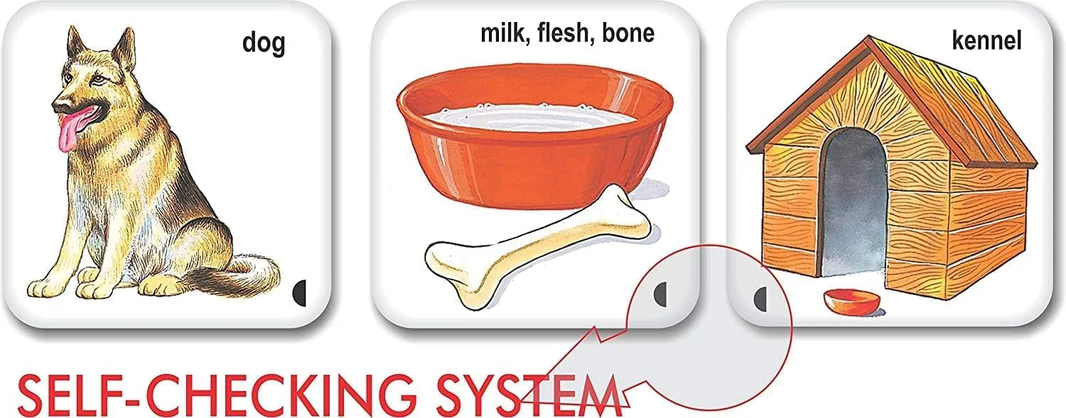 حیوانات خلاق، خانه ها و غذاهایشان | آشنایی با حیوانات | بازی کارتی حیوانات | بازی های آموزشی برای کودکان | پیش دبستانی | بازی های یادگیری برای کودکان پیش دبستانی | 3 سال به بالا