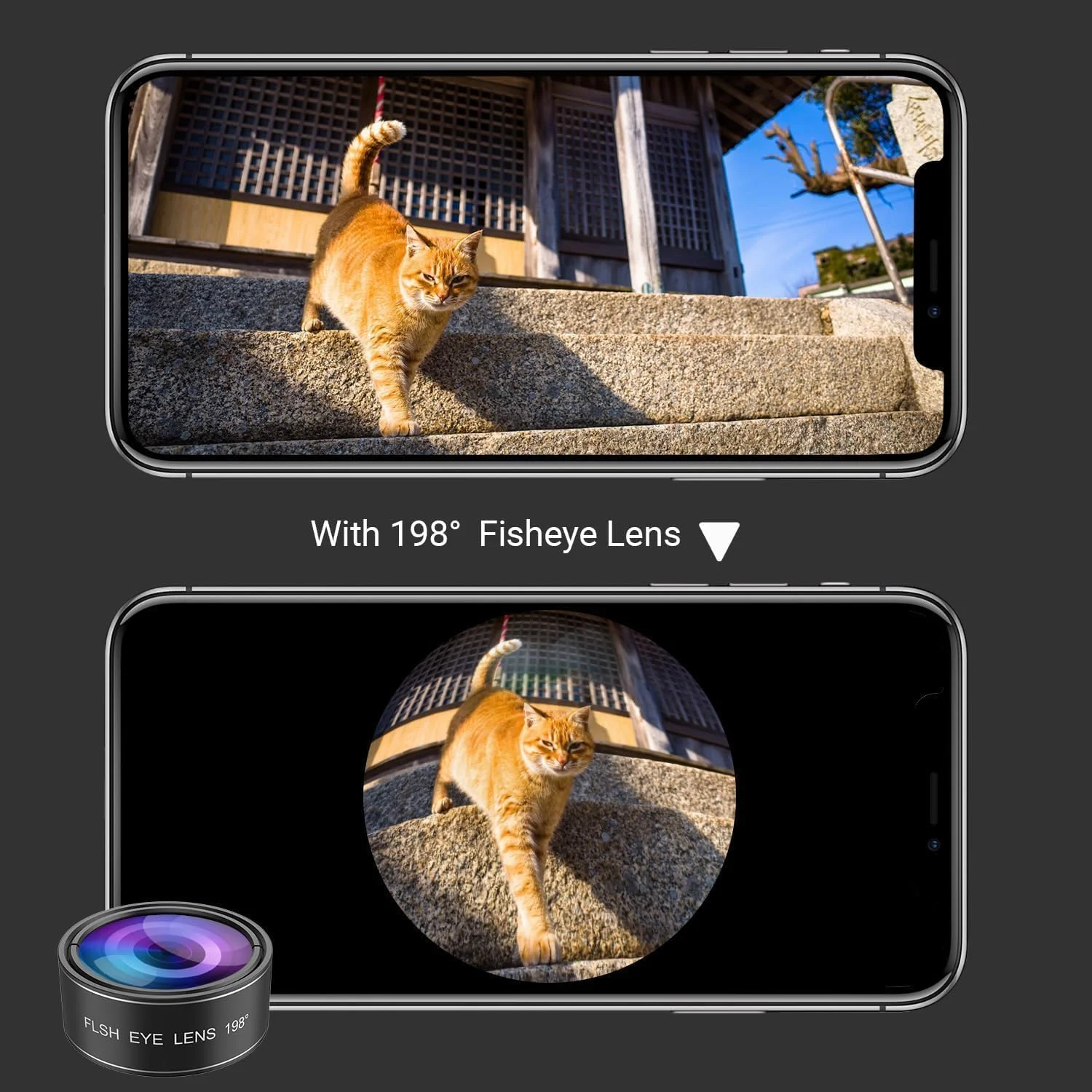 کیت لنز دوربین گوشی 5 در 1 - لنز زاویه باز 0.63X و لنز ماکرو 15X + لنز چشم ماهی 190 درجه / CPL + لنز تله فوتو 2X سازگار با آیفون سامسونگ سونی و اکثر تلفن های هوشمند کیت لنز دوربین گوشی 5 در 1 - لنز زاویه باز 0.63X و لنز ماکرو 15X + لنز چشم ماهی 190 درجه / CPL + لنز تله فوتو 2X سازگار با آیفون سامسونگ سونی و اکثر تلفن های هوشمند