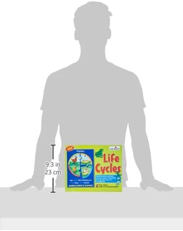 چرخه های زندگی خلاقانه | 0993 | درباره مراحل زندگی موجودات زنده در مسیر رسیدن به بلوغ بیاموزید! مناسب برای 5 سال به بالا