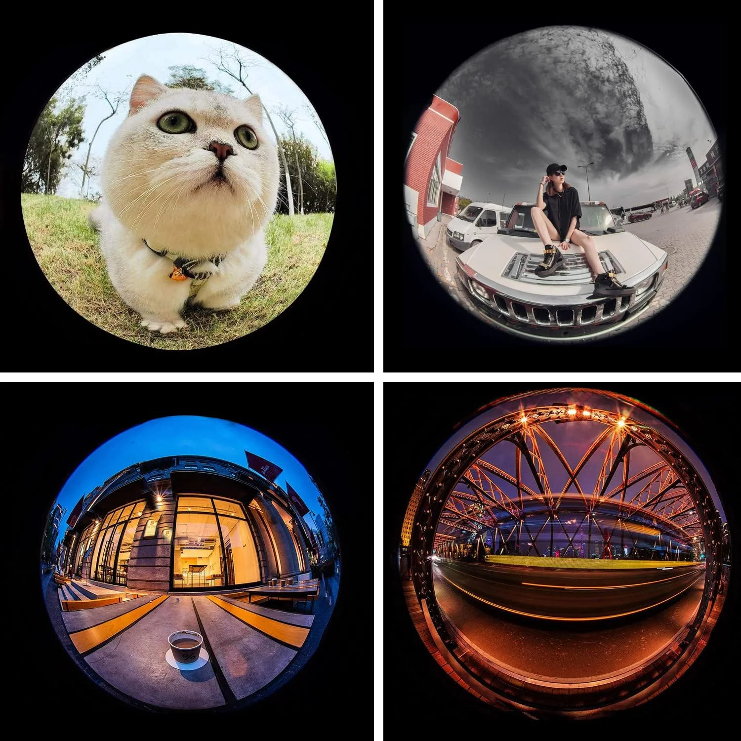 لنز چشم ماهی 210 درجه، لنز حرفه ای تلفن همراه برای آیفون، سامسونگ، پیکسل، بلک بری، آیپد، نوت بوک و غیره