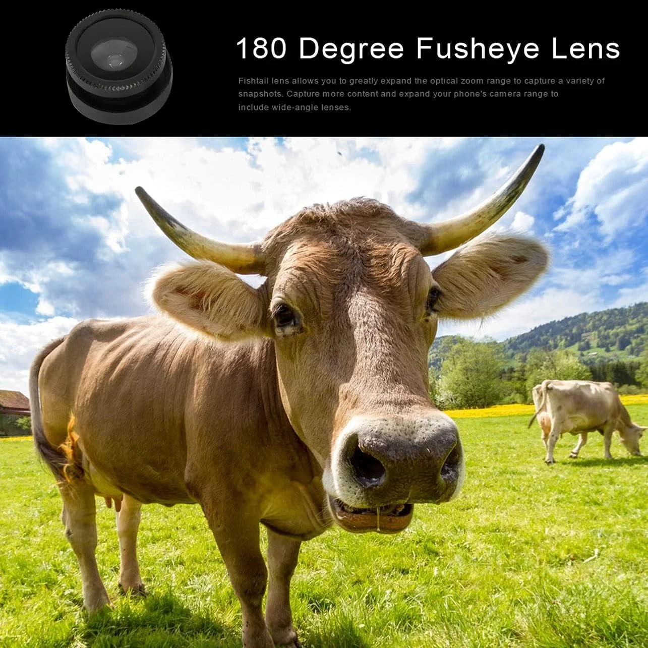 کیت لنز دوربین گوشی موبایل 3 در 2، لنز زاویه باز ماکرو + لنز چشم ماهی، گوشی را به دوربین حرفه ای برای گوشی های موبایل تبدیل می کند - مشکی کیت لنز دوربین گوشی موبایل 3 در 2، لنز زاویه باز ماکرو + لنز چشم ماهی، گوشی را به دوربین حرفه ای برای گوشی های موبایل تبدیل می کند - مشکی