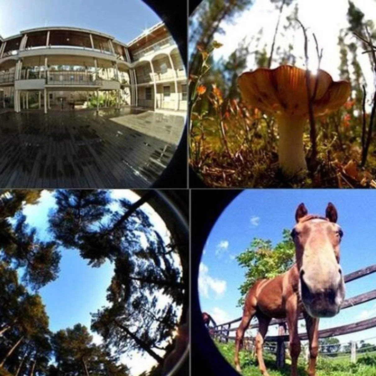 کیت لنز دوربین موبایل یونیورسال 3 در 1 ای وینر، لنز چشم ماهی 180 درجه / لنز واید انگل 0.67X / لنز ماکرو 25X / گیره لنز سازگار با آیپد، آیفون، سامسونگ، اندروید و اکثر تلفن های هوشمند (نقره ای) کیت لنز دوربین موبایل یونیورسال 3 در 1 ای وینر، لنز چشم ماهی 180 درجه / لنز واید انگل 0.67X / لنز ماکرو 25X / گیره لنز سازگار با آیپد، آیفون، سامسونگ، اندروید و اکثر تلفن های هوشمند (نقره ای)