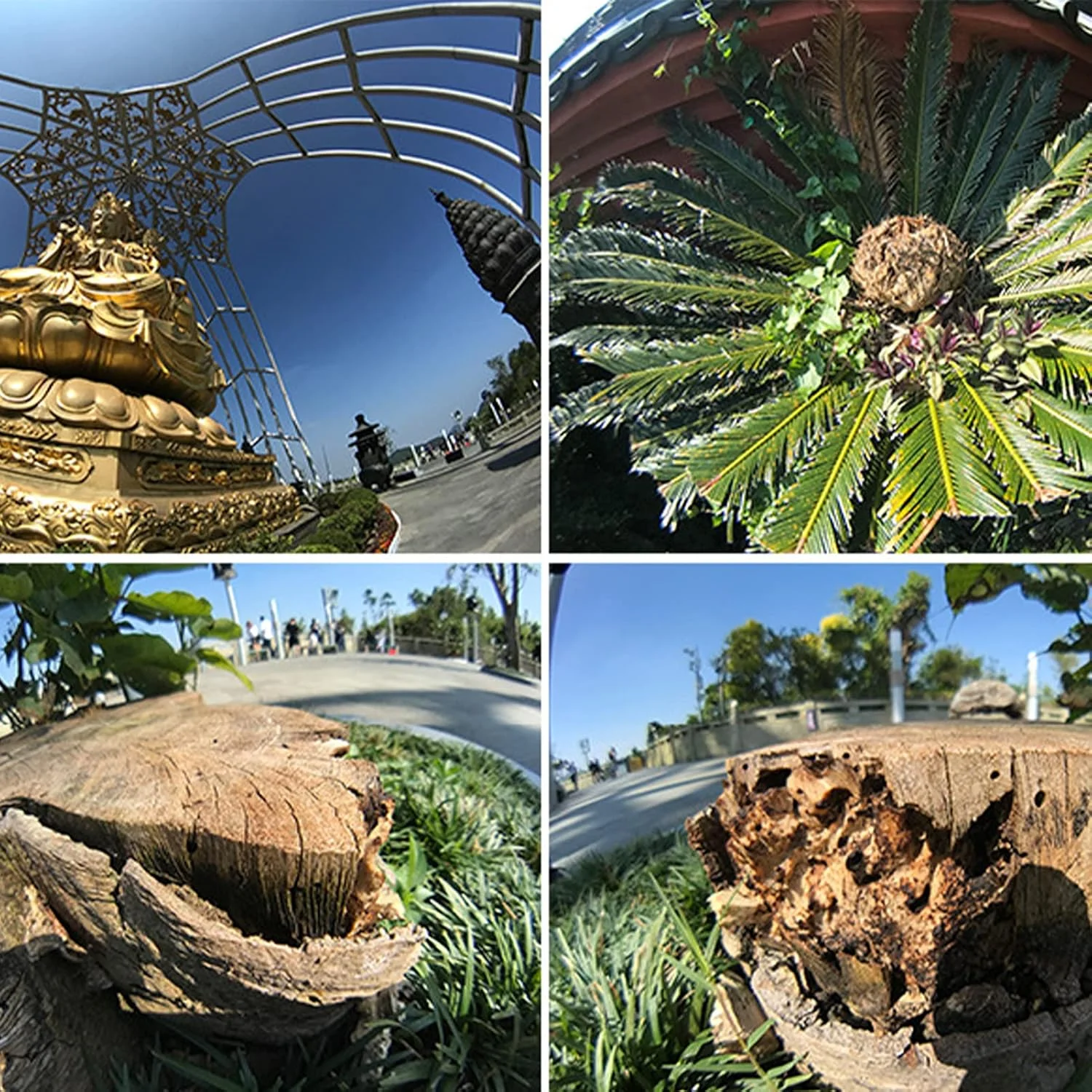 لنز چشم ماهی موبایل، لنز آسفریکال چشم ماهی موبایل با پوشش چند لایه 7.5 میلی متری بدون اعوجاج برای تلفن های هوشمند و آی او اس لنز چشم ماهی موبایل، لنز آسفریکال چشم ماهی موبایل با پوشش چند لایه 7.5 میلی متری بدون اعوجاج برای تلفن های هوشمند و آی او اس