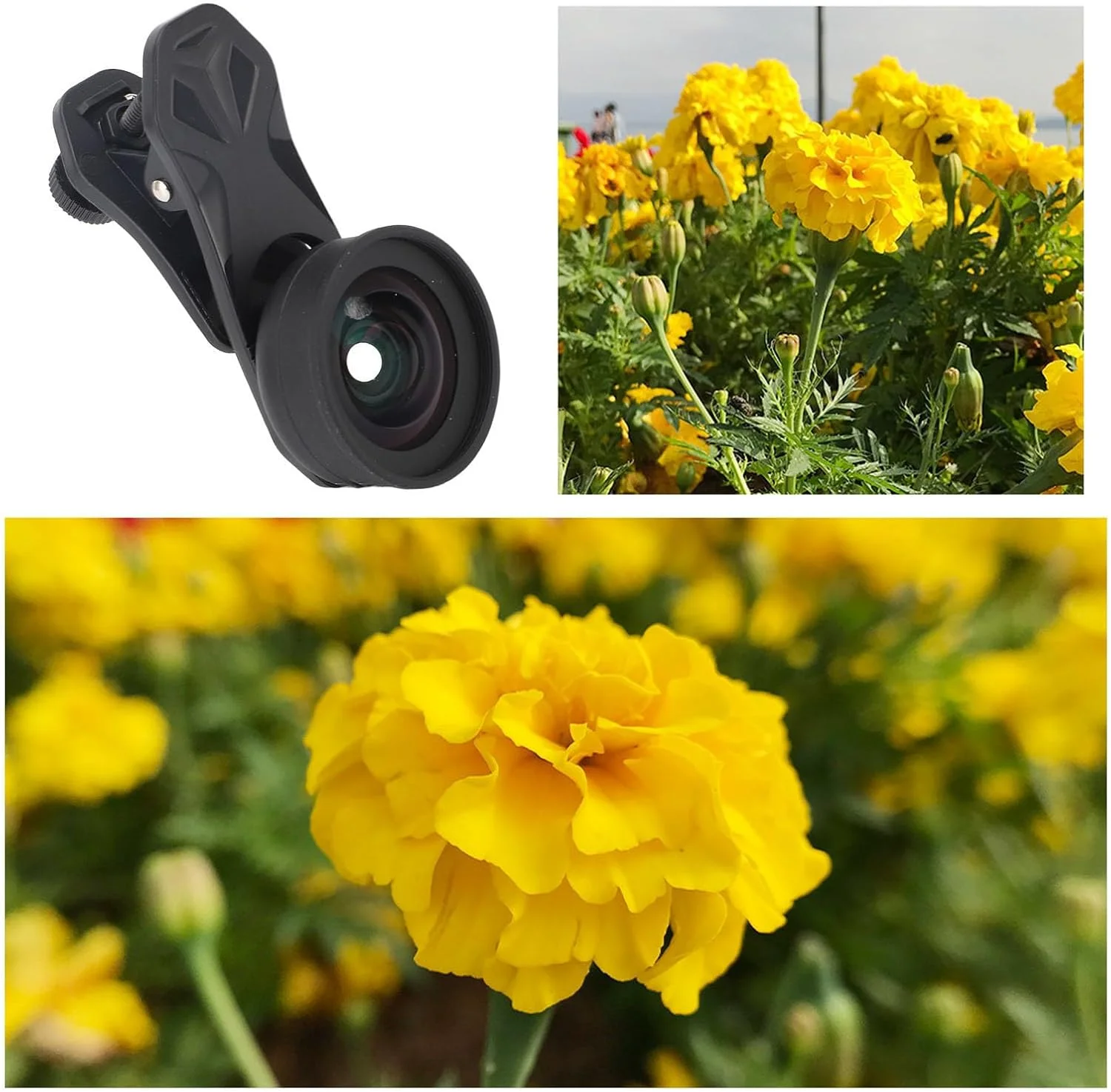 لنز دوربین تلفن همراه، لنز ماکرو 10X، لنز دوربین تلفن همراه HD کلیپسی مناسب برای تلفن هوشمند لنز دوربین تلفن همراه، لنز ماکرو 10X، لنز دوربین تلفن همراه HD کلیپسی مناسب برای تلفن هوشمند