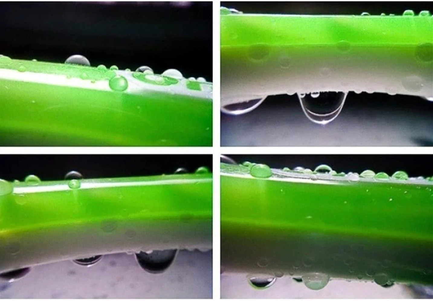 لنز فیش آی موبایل سه در یک، لنز موبایل با جلوه ویژه، ذره بین، فیش آی، زاویه باز، ماکرو، ابزار سلفی طلایی لنز فیش آی موبایل سه در یک، لنز موبایل با جلوه ویژه، ذره بین، فیش آی، زاویه باز، ماکرو، ابزار سلفی طلایی