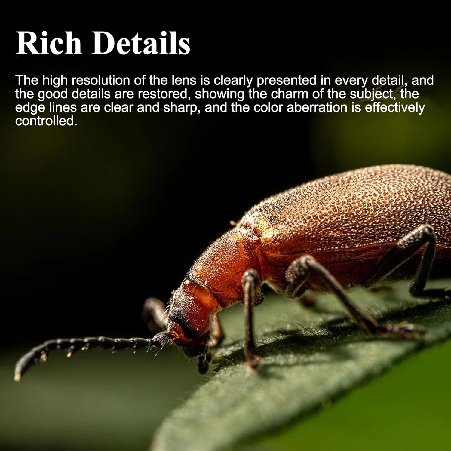 لنز ماکرو 60mm F2.8 2X هفت آرتیسانز با مانت Sony E، لنز پرایم فول فریم با دهانه باز و فوکوس دستی برای دوربین های بدون آینه Sony FX,A1,A9,A7M,A7R,A7S,A7C,ZVE,A6000,A5000,A3000,NEX.