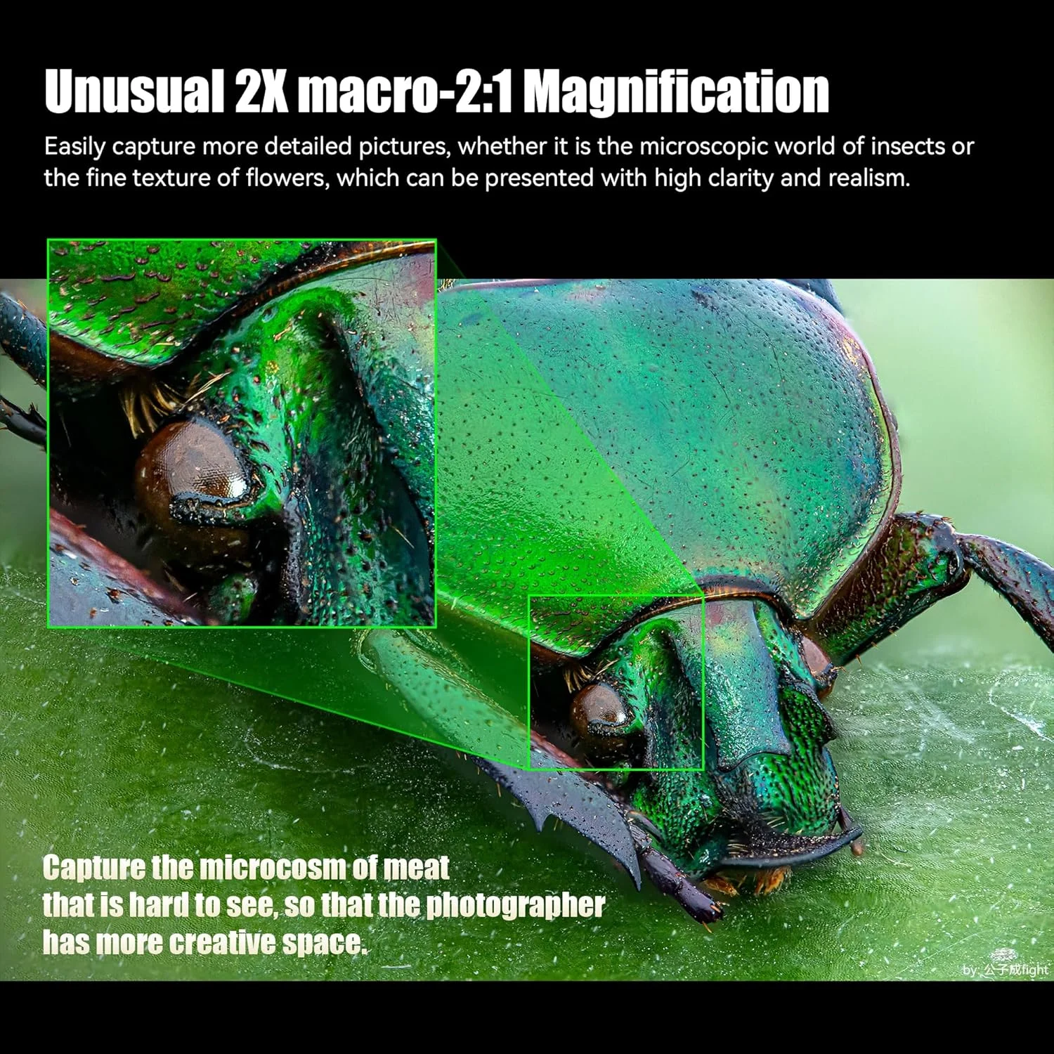 لنز سینمایی ماکرو 2X هفت آرتیسانز 120mm T2.9، لنز سینمایی با فوکوس ثابت دستی سازگار با Leica Panasonic L Mount S1 S5 S9 Serise DC-S1H, DC-S5M2, LUMIX S9 لنز سینمایی ماکرو 2X هفت آرتیسانز 120mm T2.9، لنز سینمایی با فوکوس ثابت دستی سازگار با Leica Panasonic L Mount S1 S5 S9 Serise DC-S1H, DC-S5M2, LUMIX S9